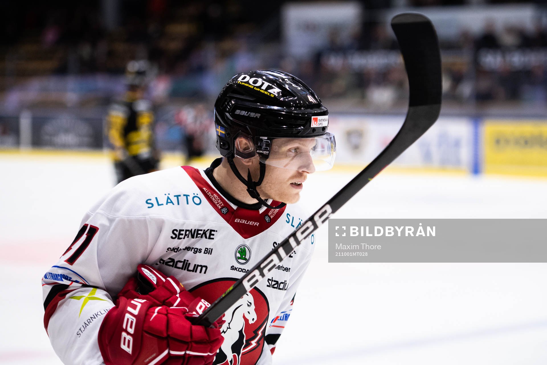 Vita Hästens Alexander Falk