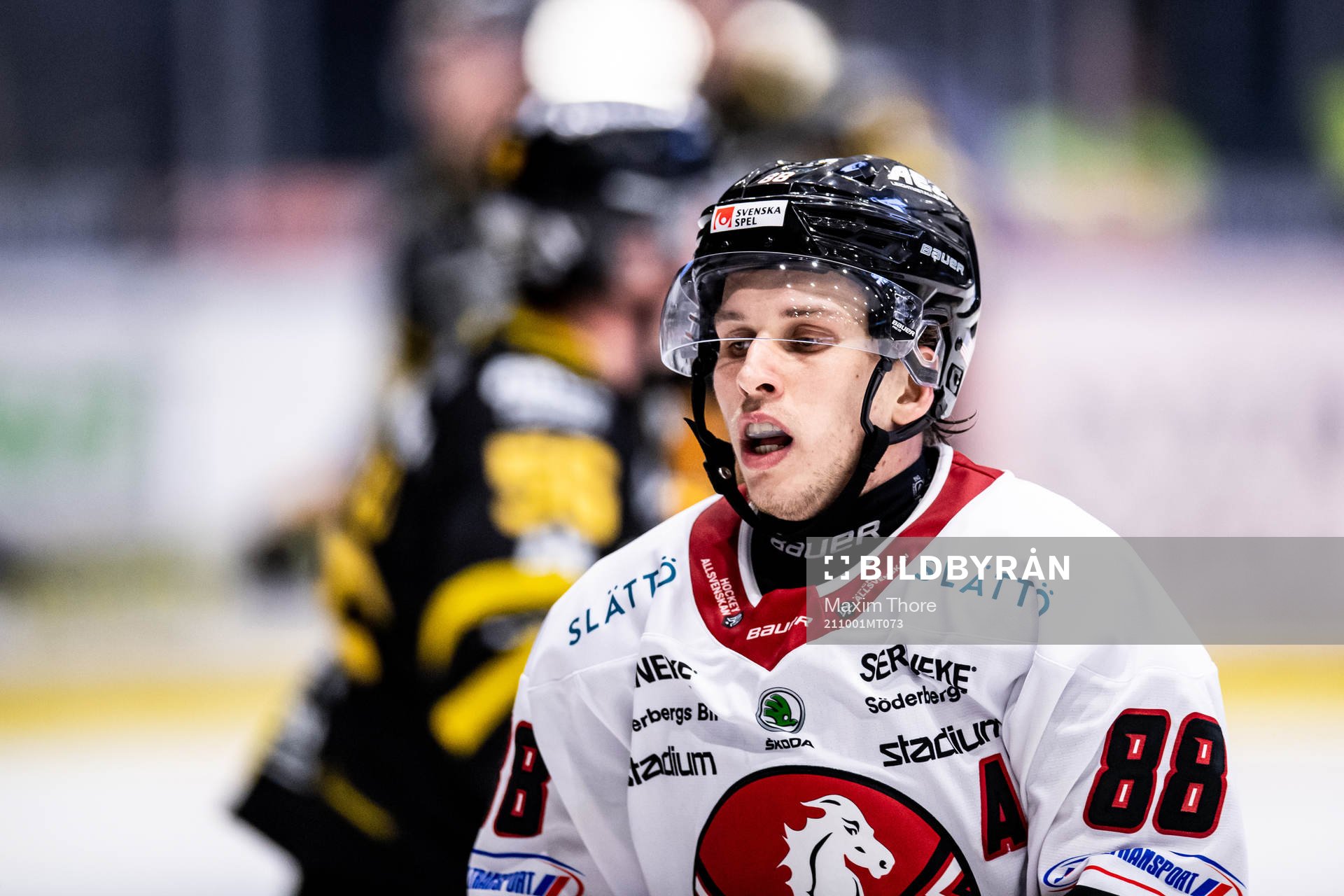 Vita Hästens Corey Mackin