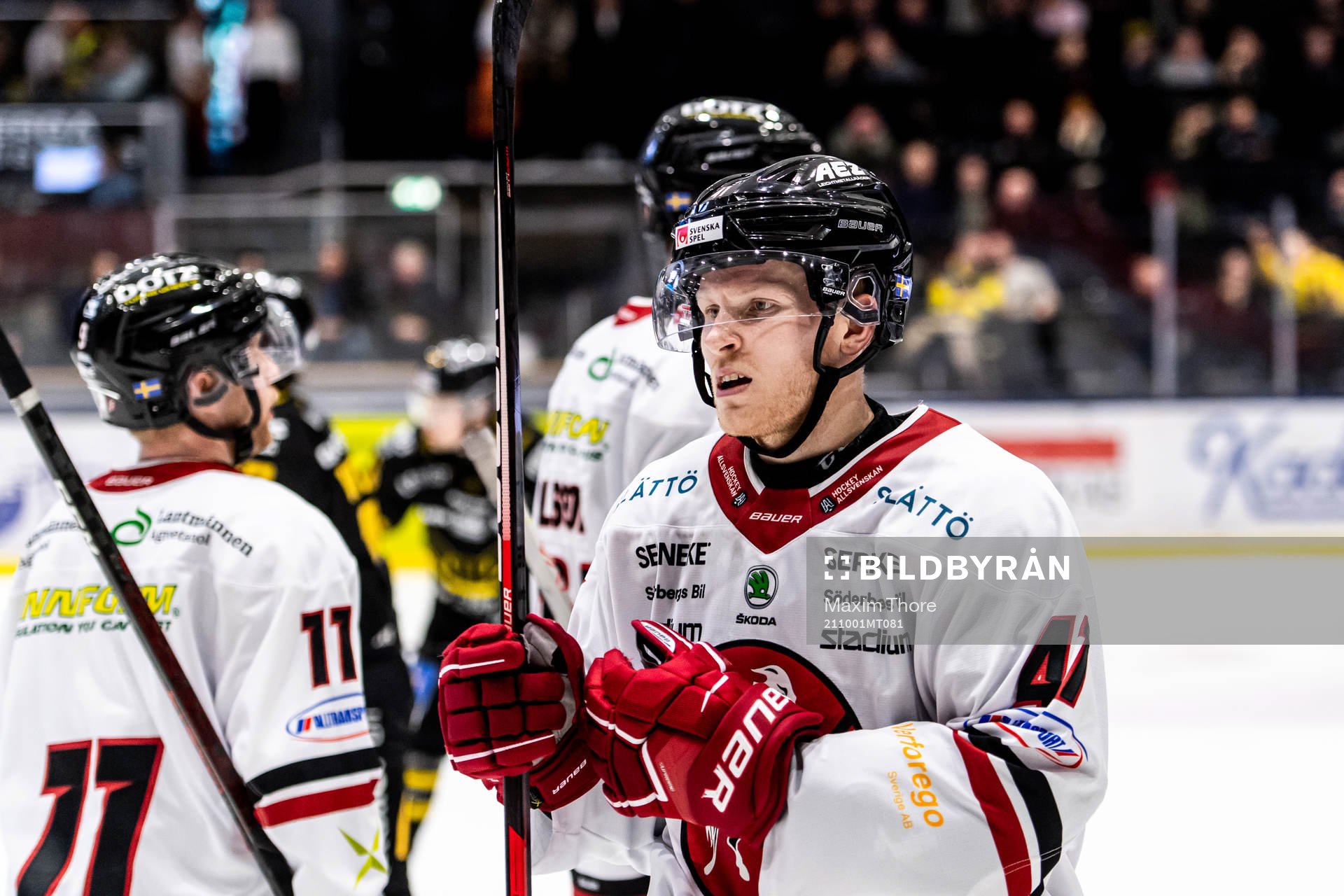 Vita Hästens Alexander Falk