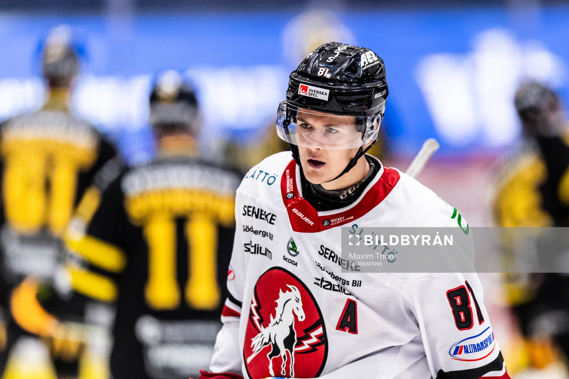 Vita Hästens Erik Borg