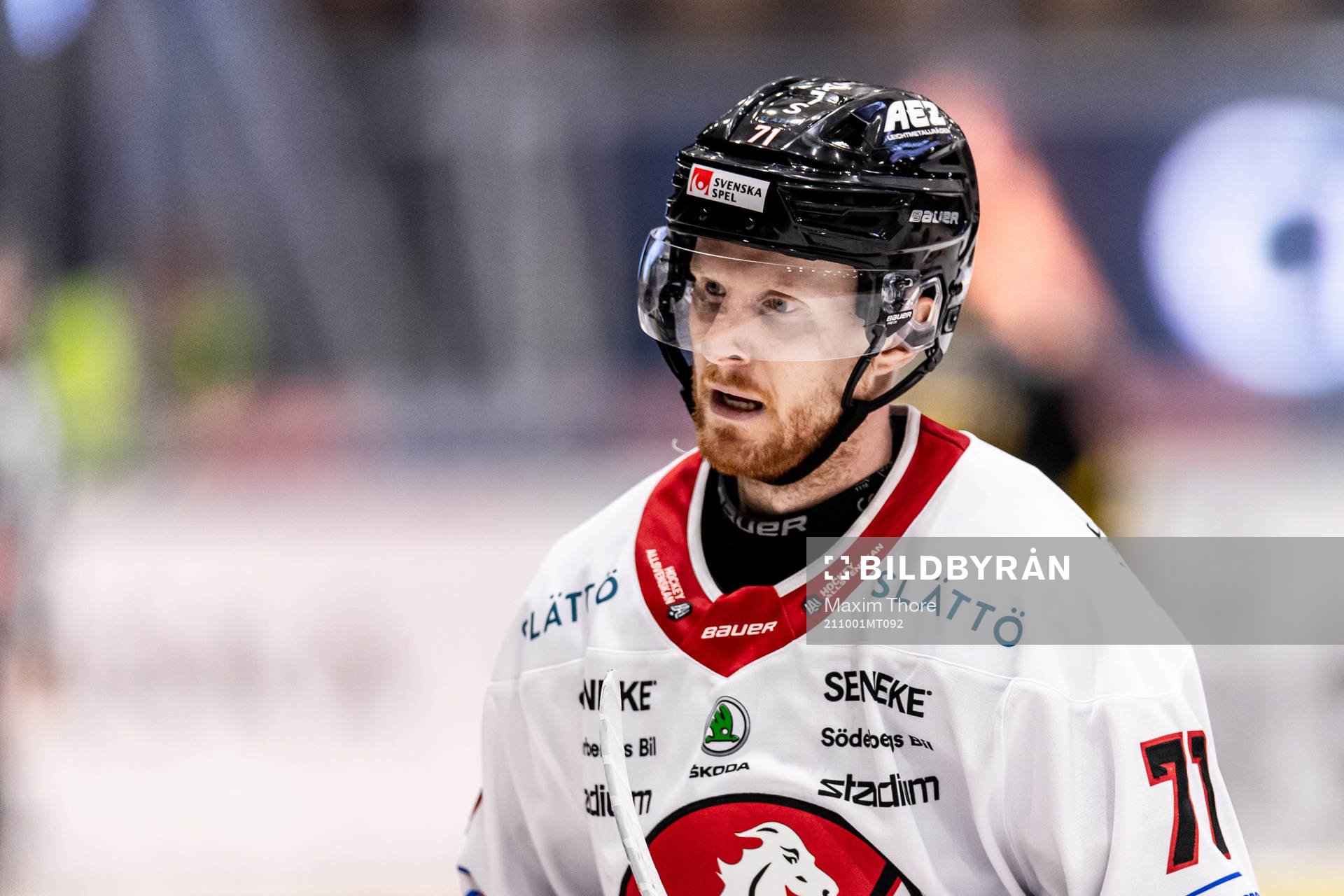 Vita Hästens Christopher Fish