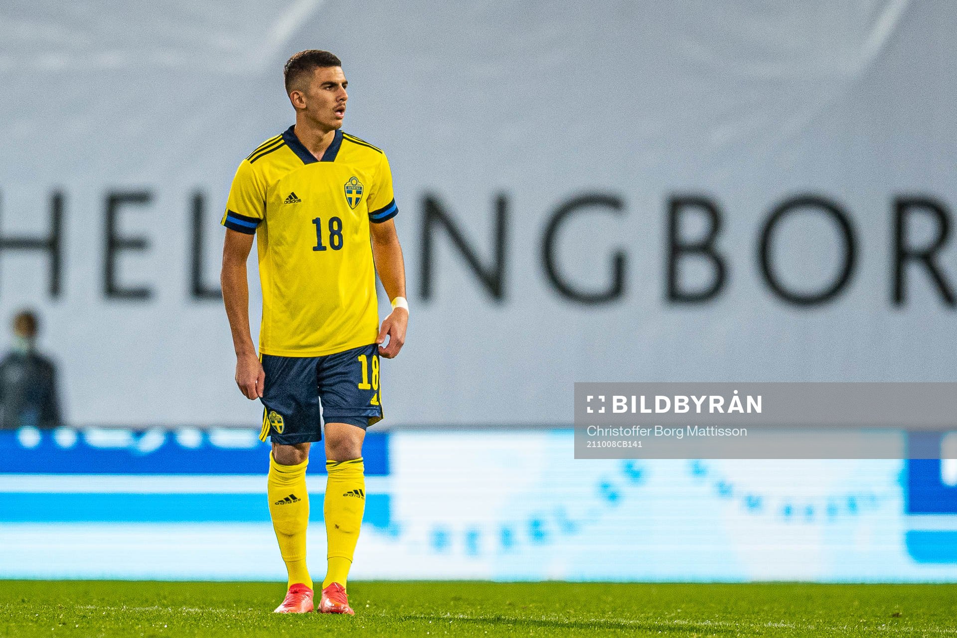 Hussein Ali of Sweden