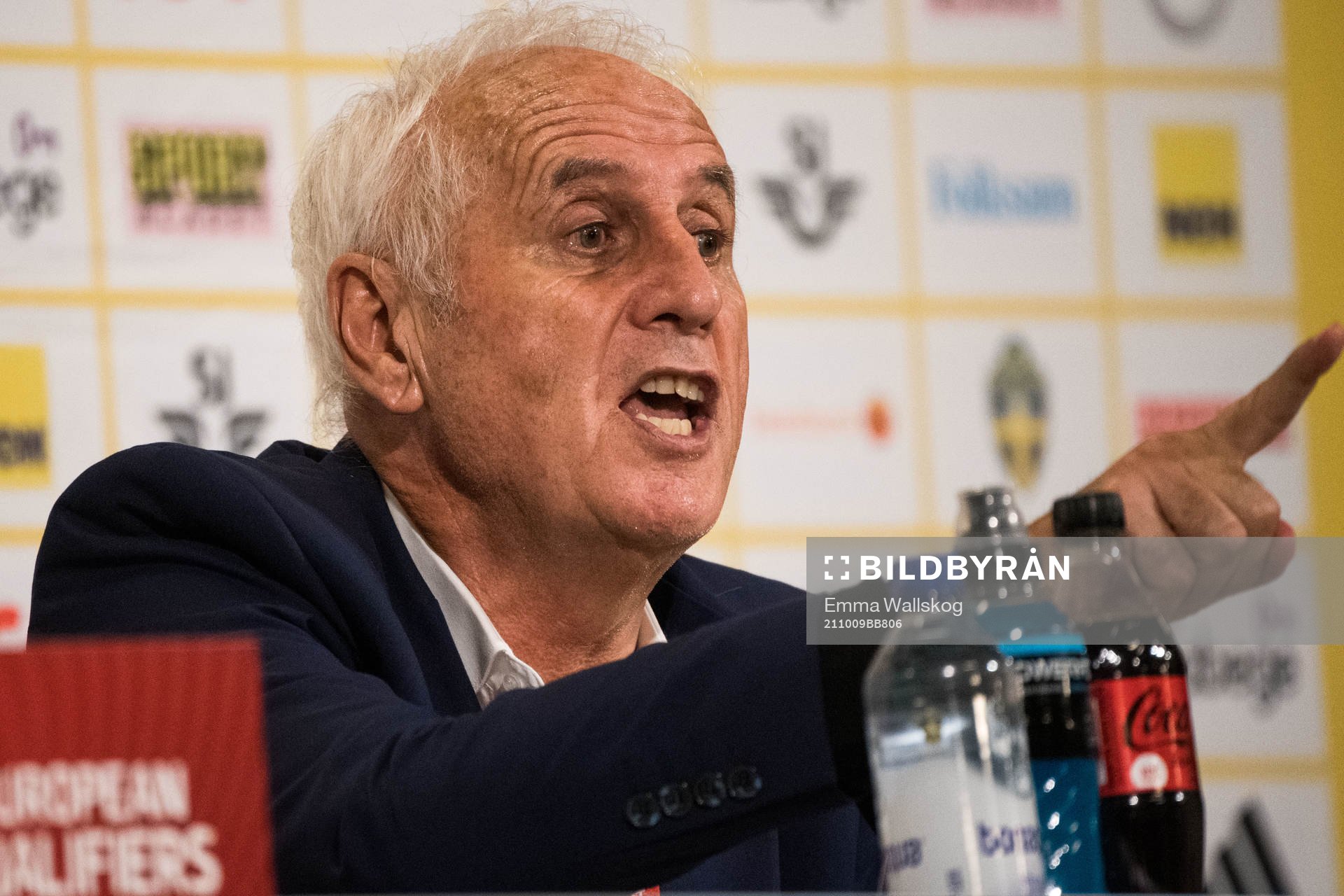 Head coach of Kosovo Bernard Challandes