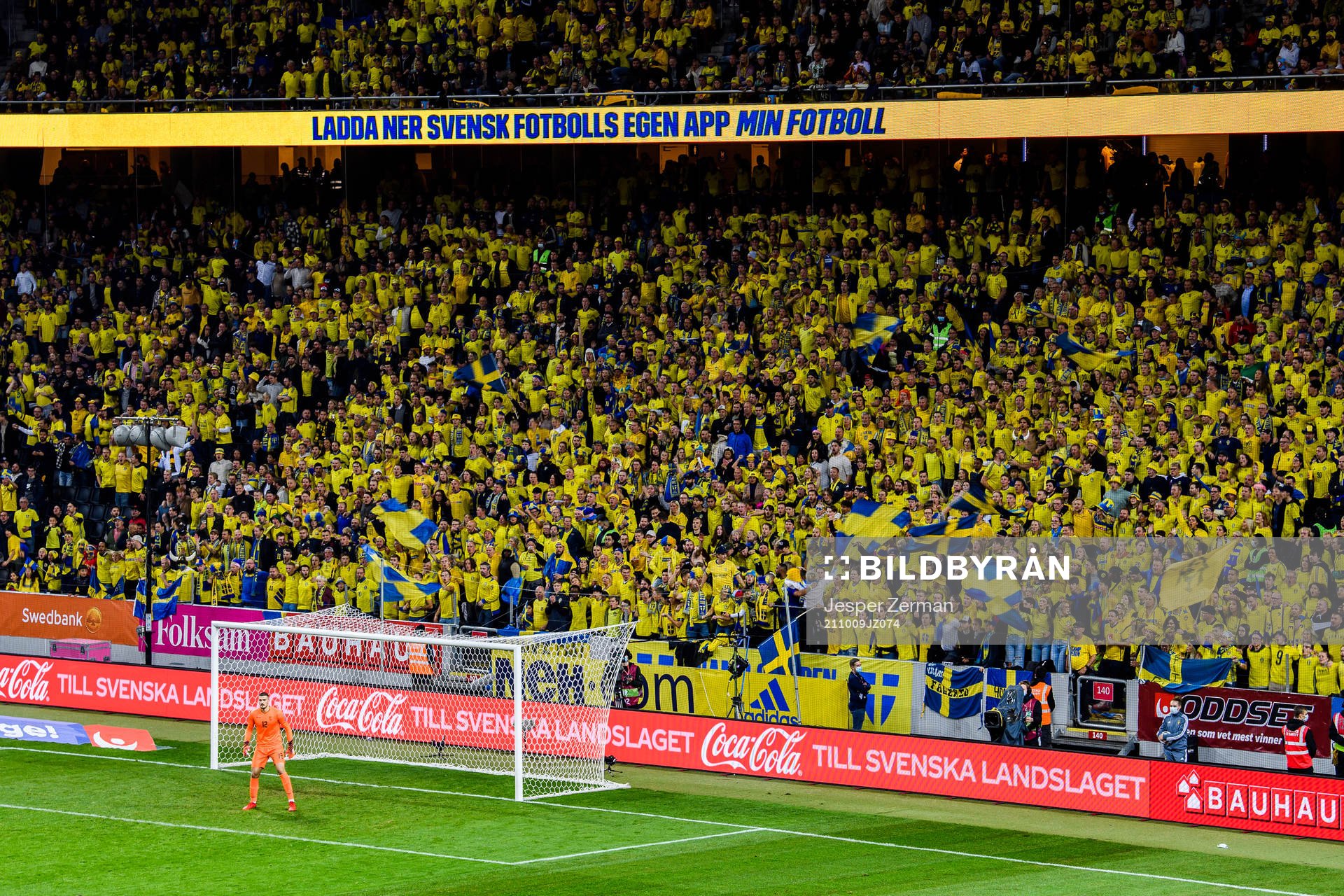 Supporters of Sweden