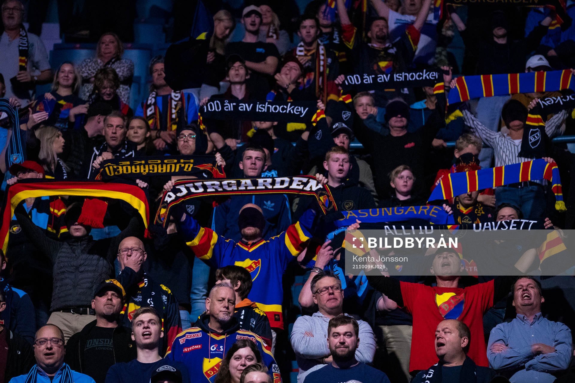 Djurgårdens supportrar