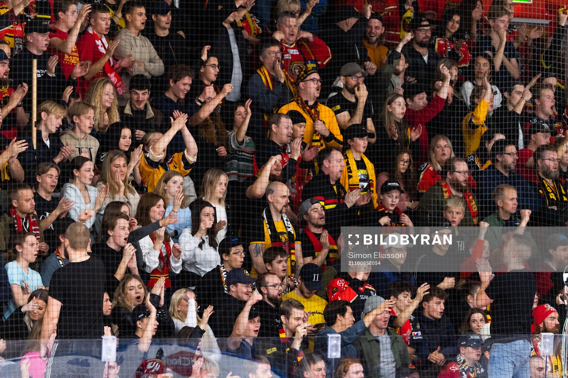 Luleås supportrar
