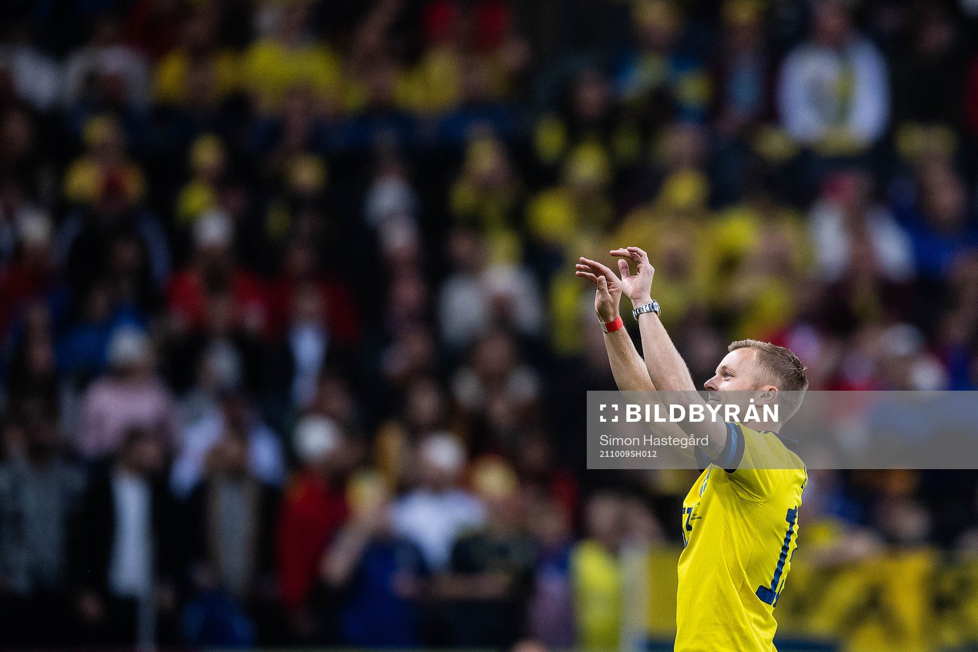Former player Sebastian Larsson of Sweden
