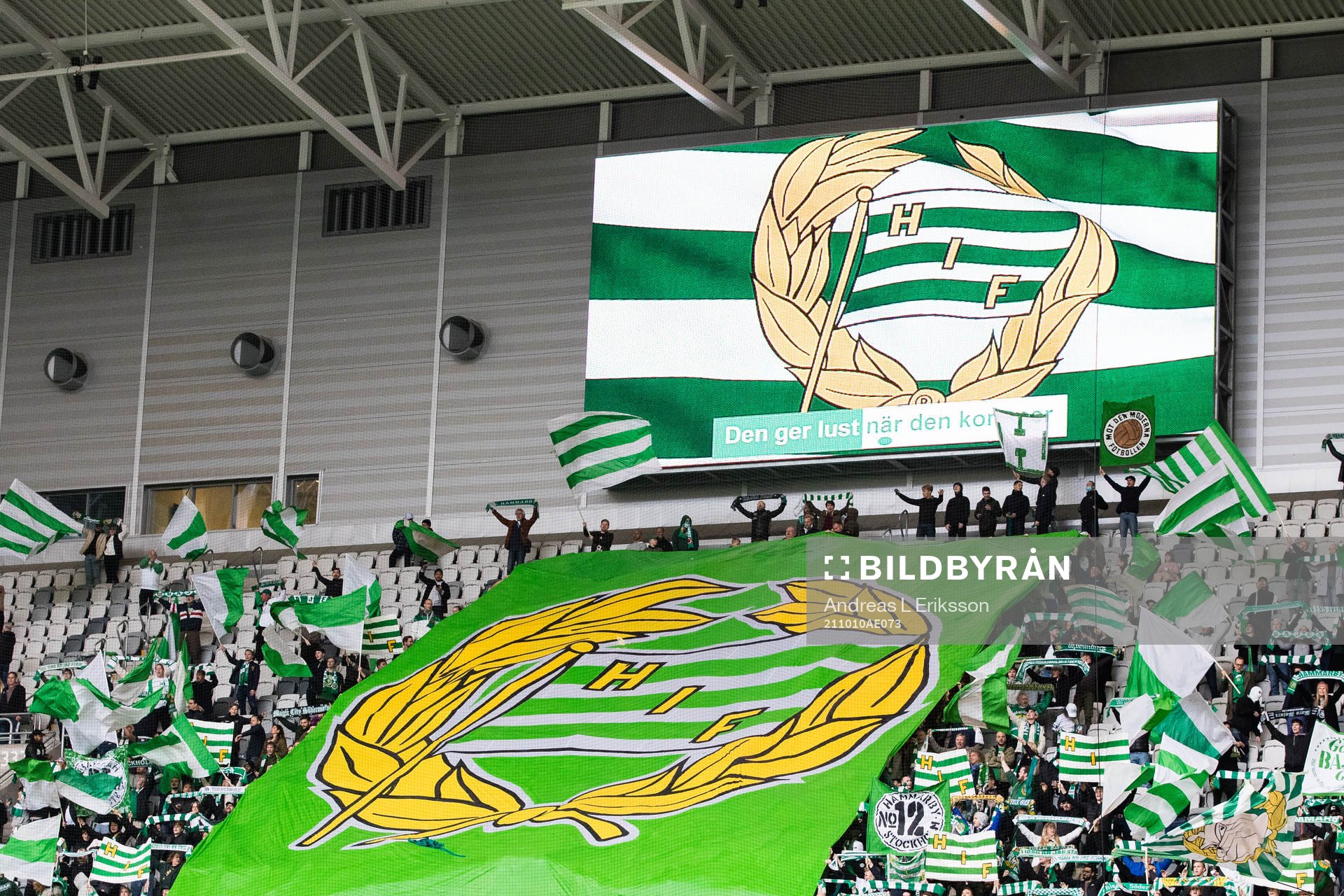 Supportrar till Hammarby