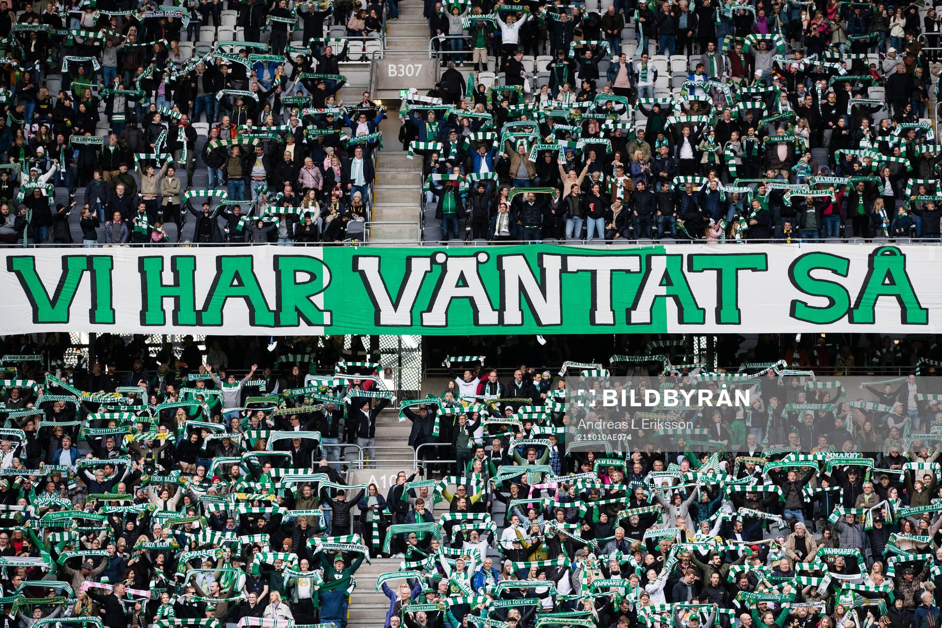 Supportrar till Hammarby