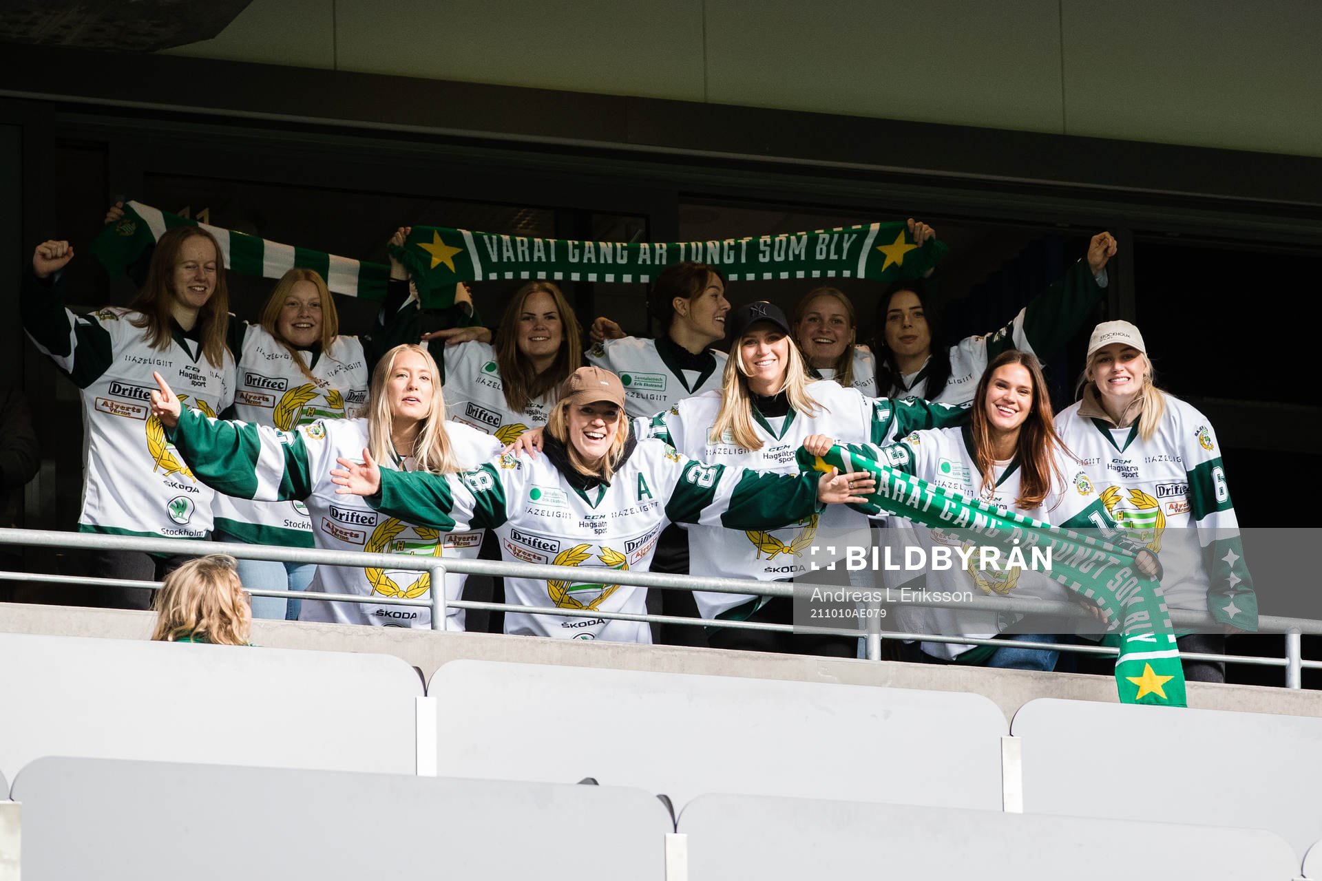 Hammarby Hockeys damer på läktaren