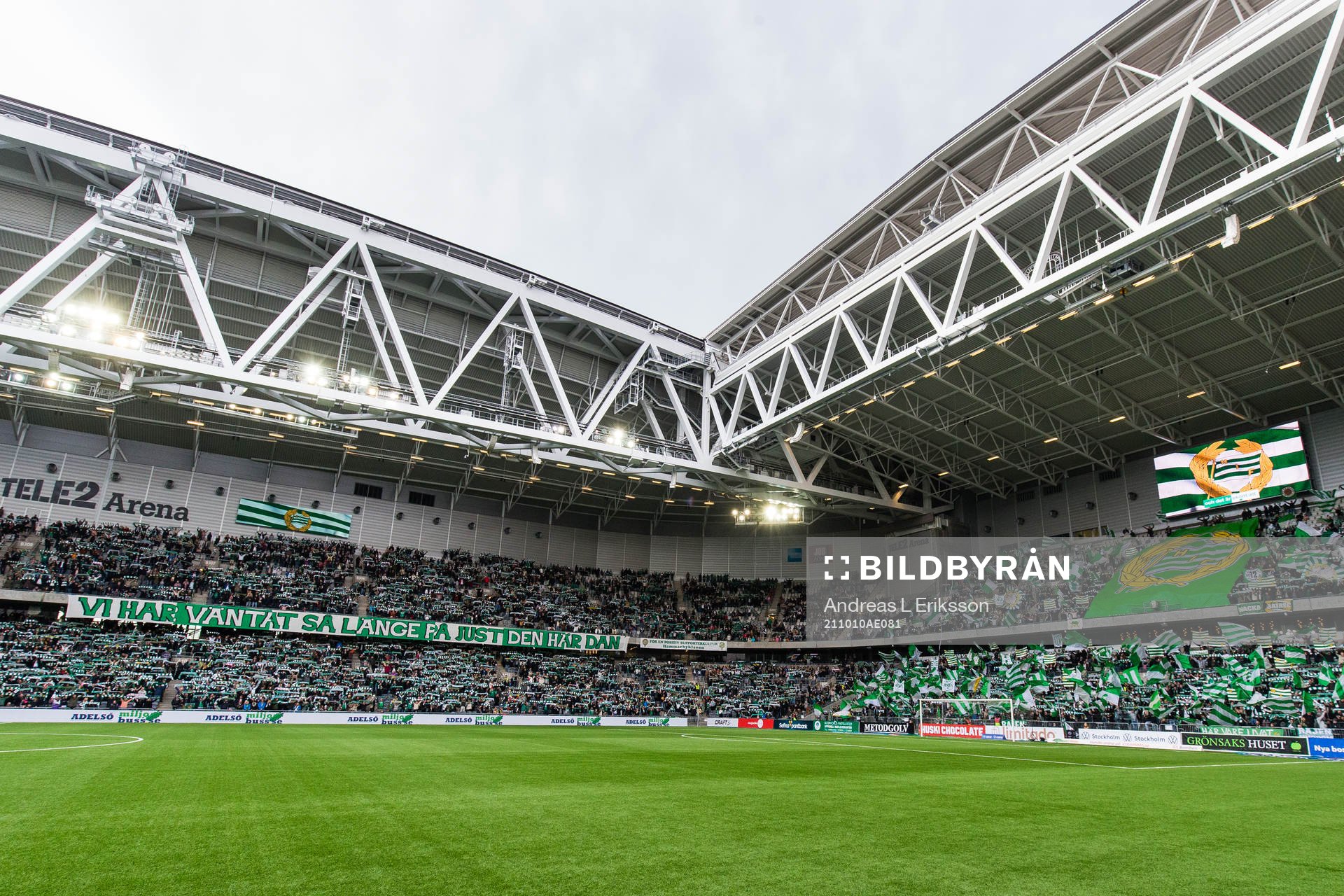 Supportrar till Hammarby
