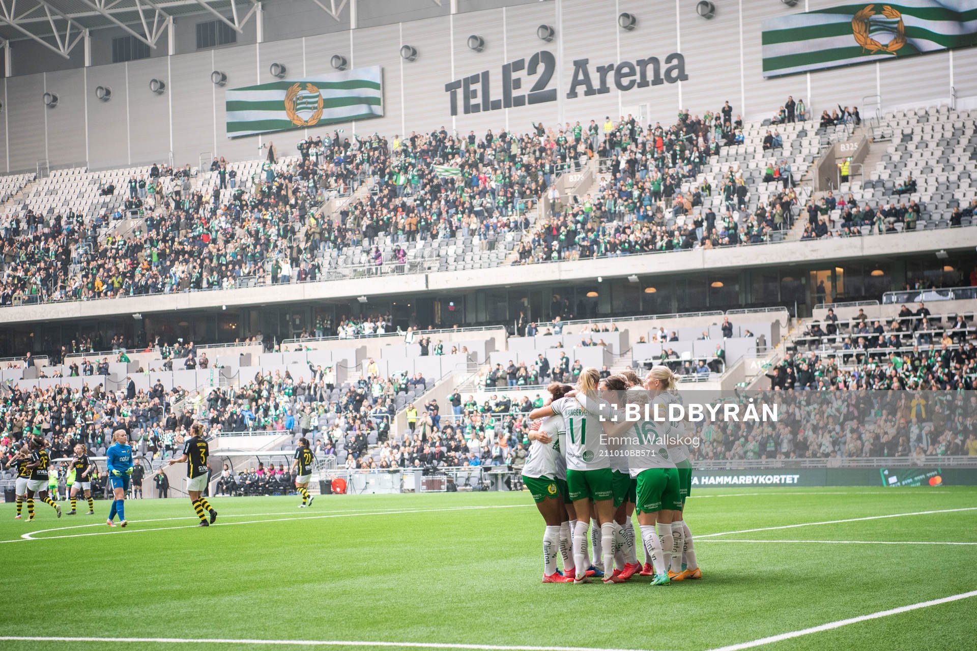 Hammarby jublar