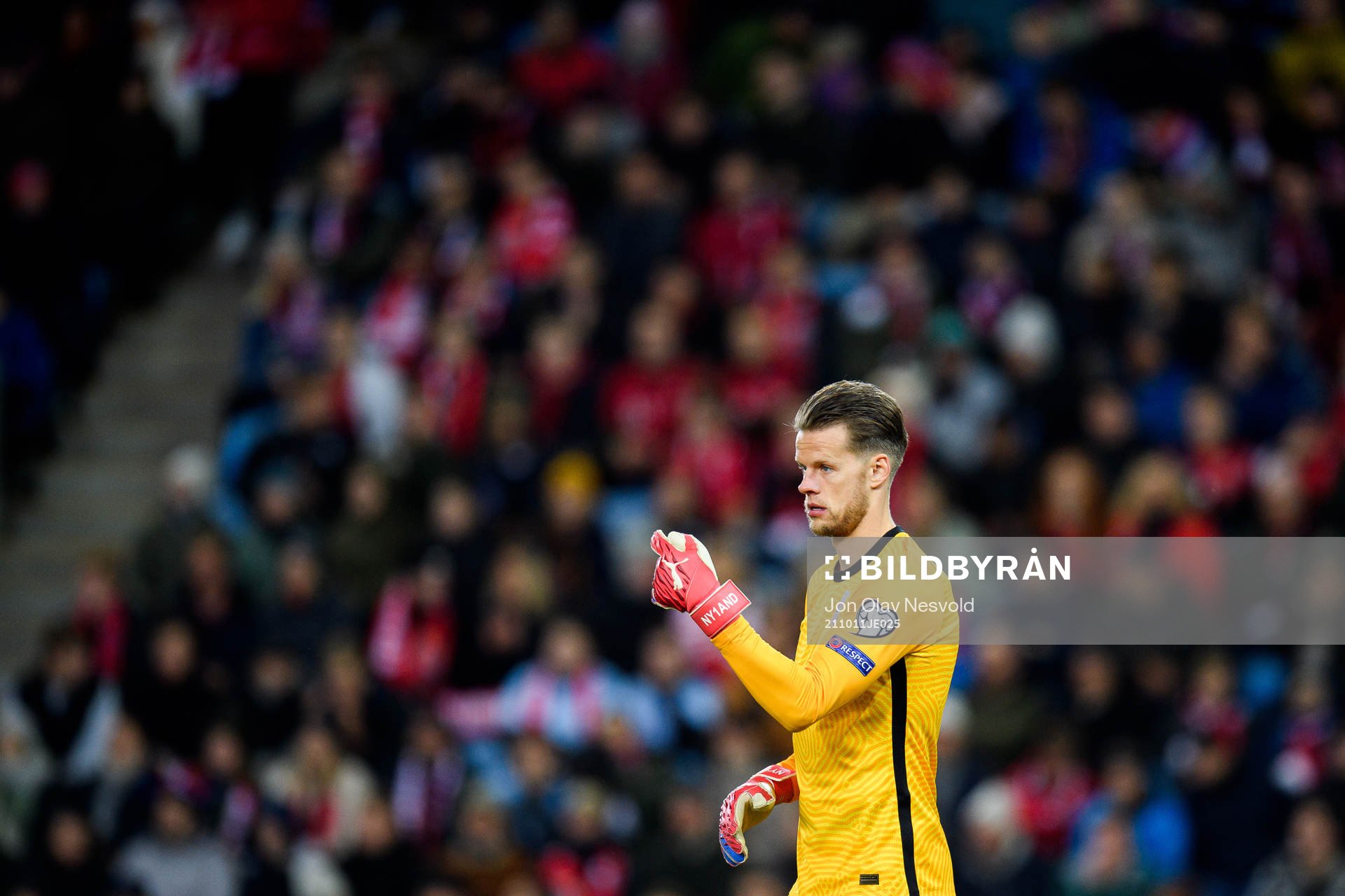 Goalkeeper Ørjan Håskjold Nyland of Norway