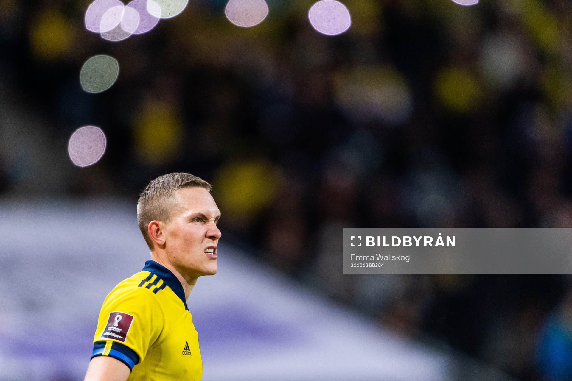 Ludwig Augustinsson of Sweden