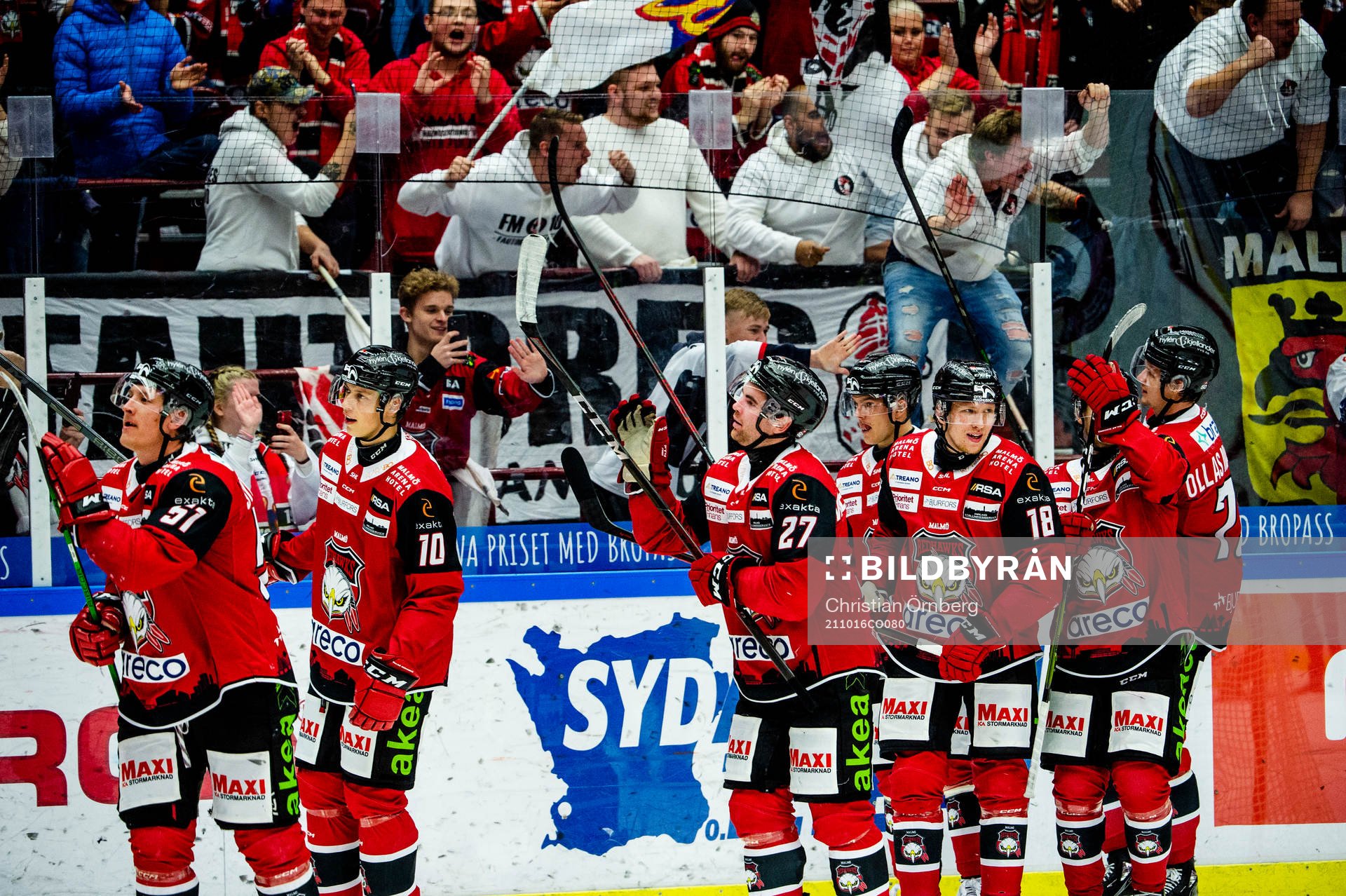 Malmö Redhawks spelare jublar med lagkamraterna