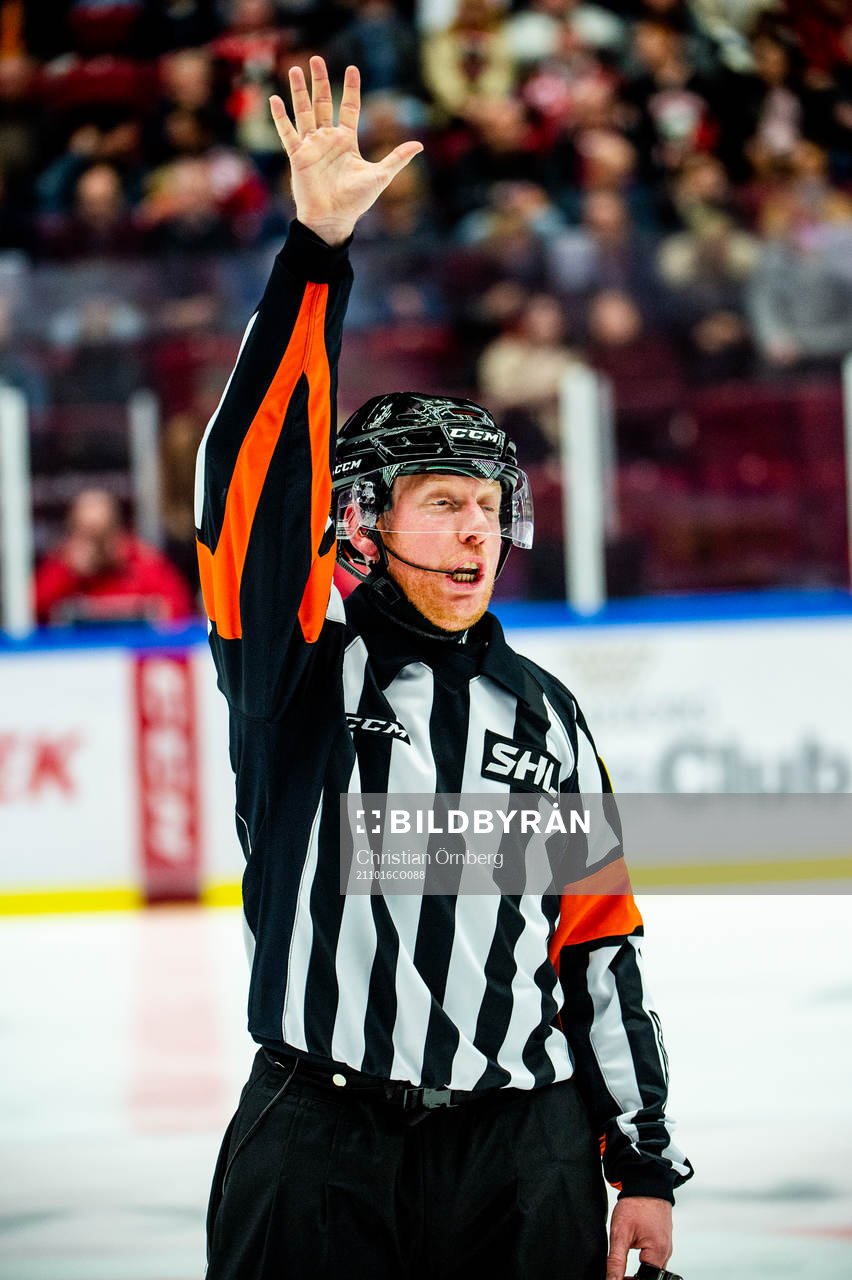 Domare Mikael Holm