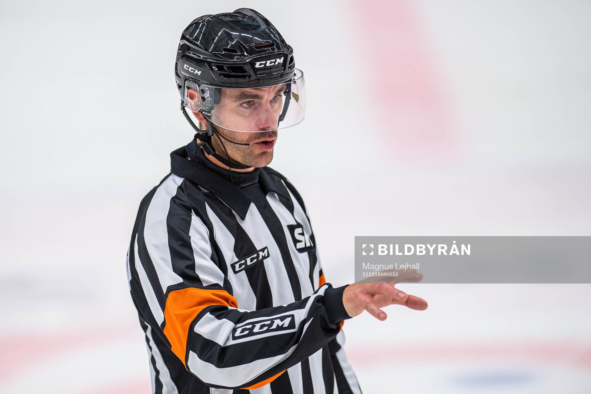 Domare Richard Magnusson
