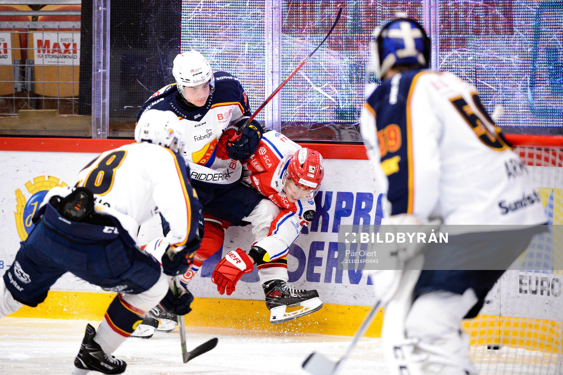 Timrås Robin Alvarez