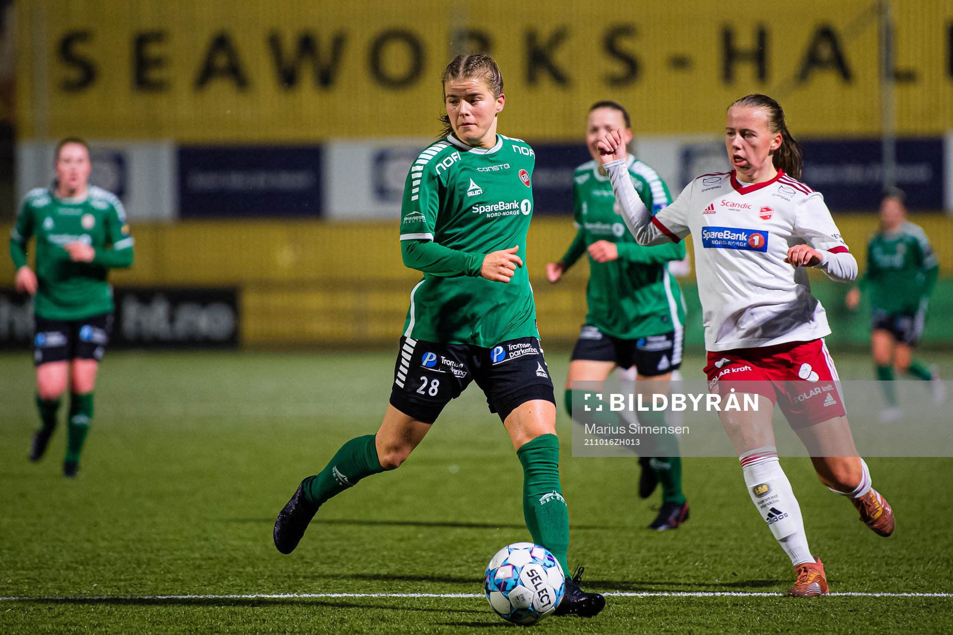 Mali Motrøen Trøan of Fløya