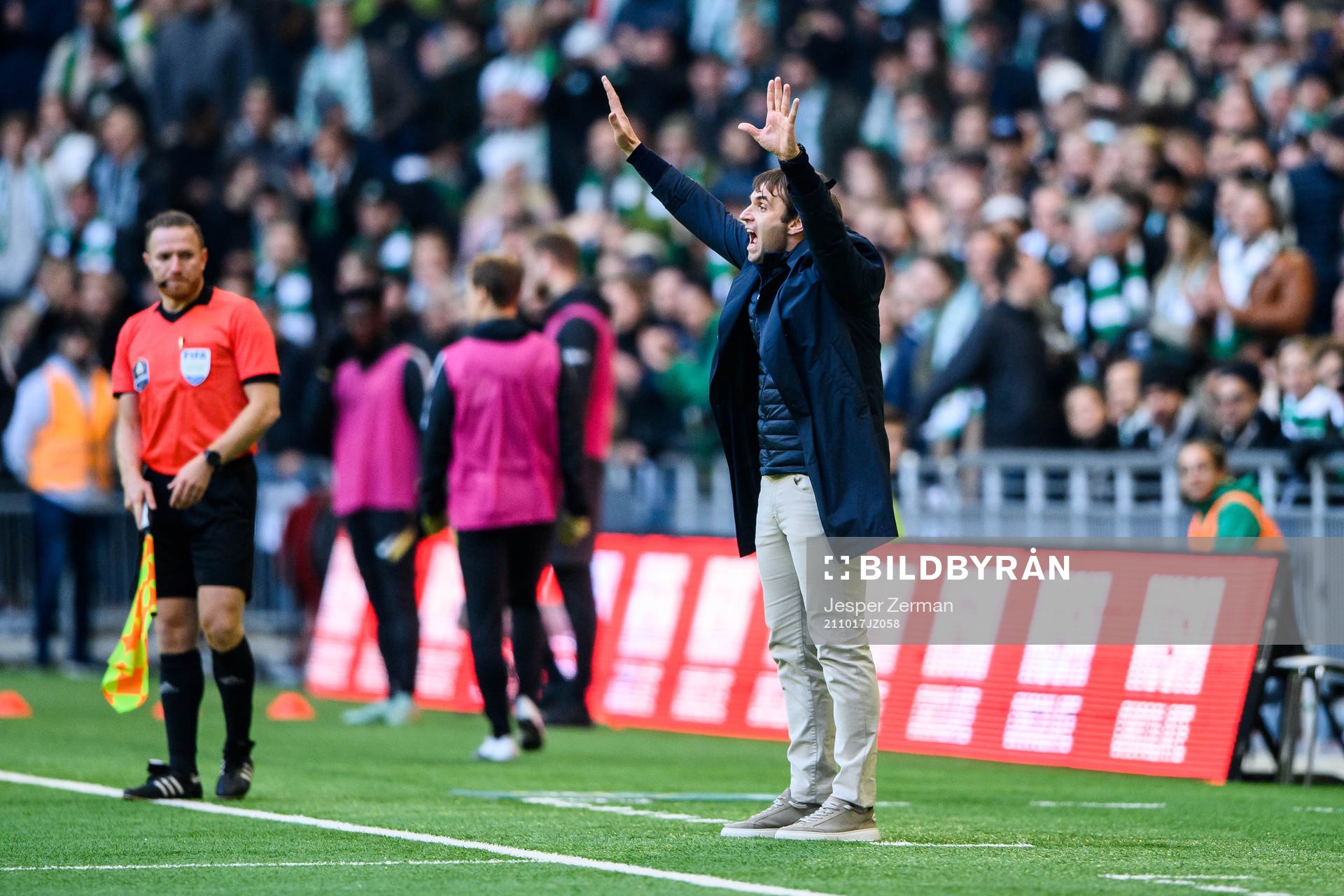 Hammarbys tränare Milos Milojevic