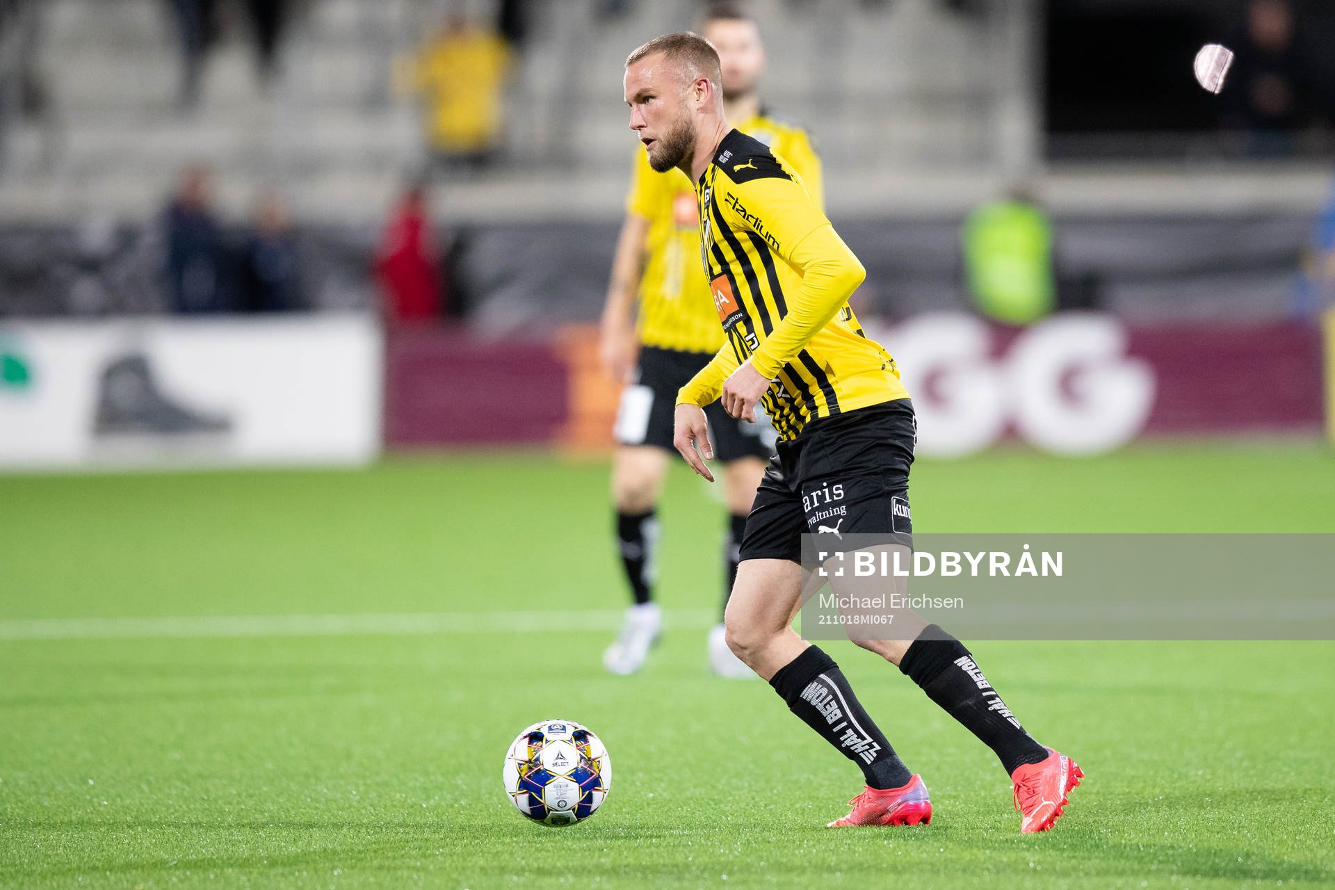 Häckens Alexander Faltsetas