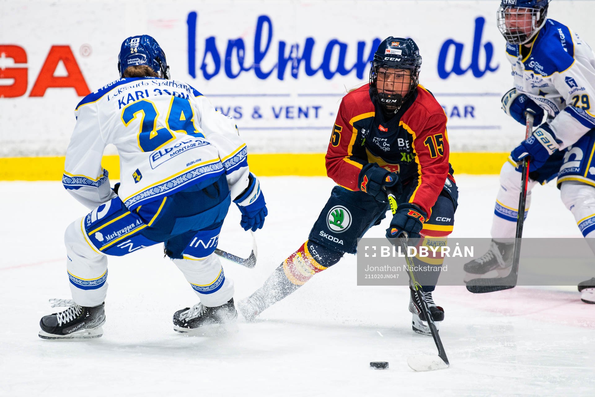 Djurgårdens Lova Blom