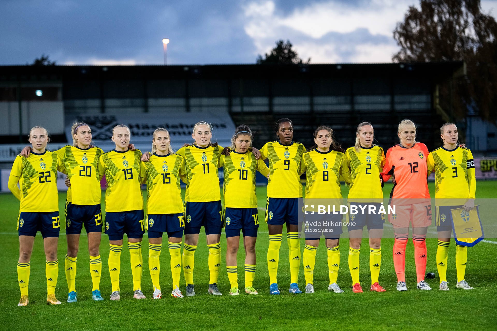 Players of Sweden