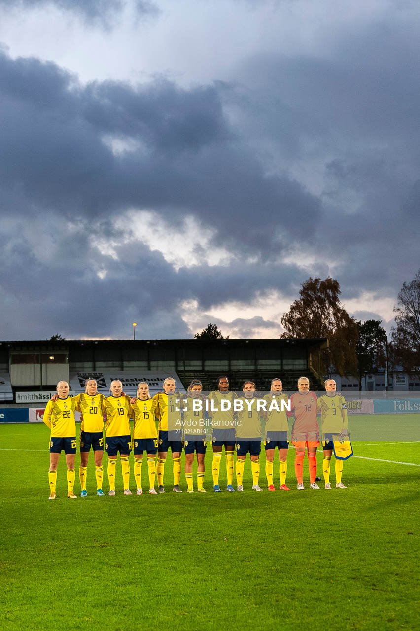 Players of Sweden