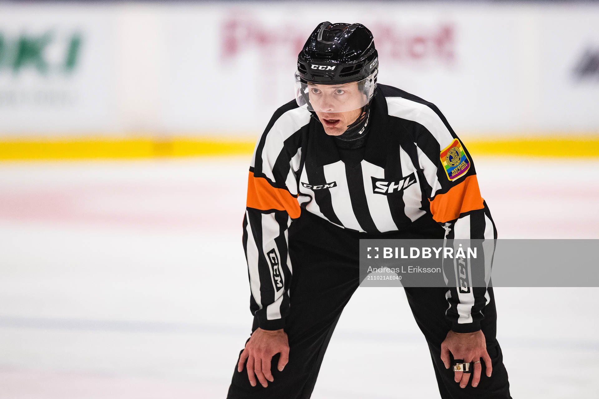 Domare Mikael Andersson