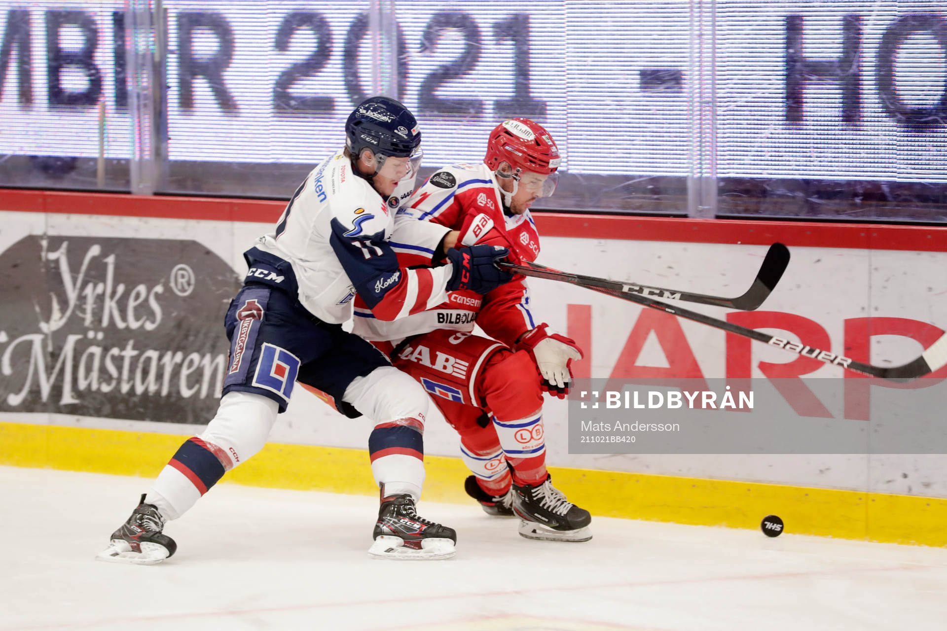 Timrås Nolan Zajac och Linköpings Henrik Törnqvist