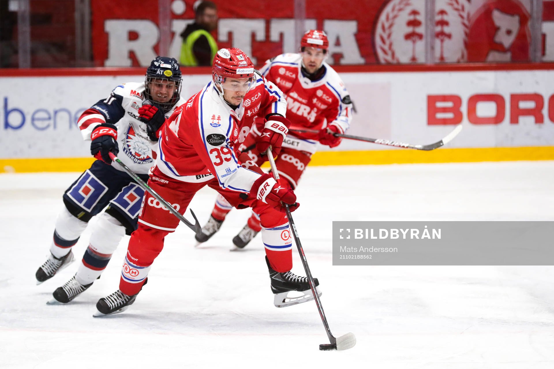 Timrås Ty Rattie