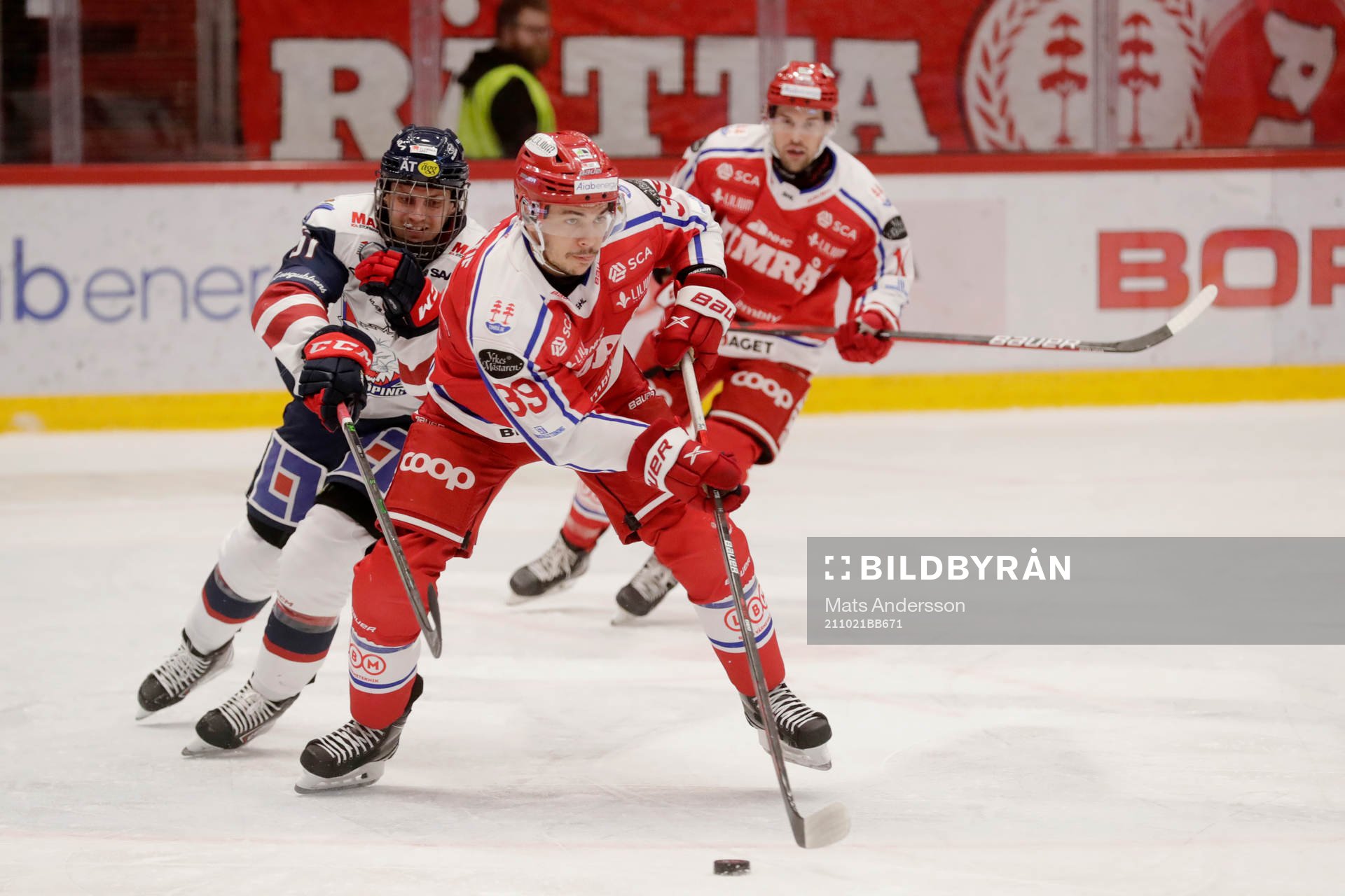 Timrås Ty Rattie