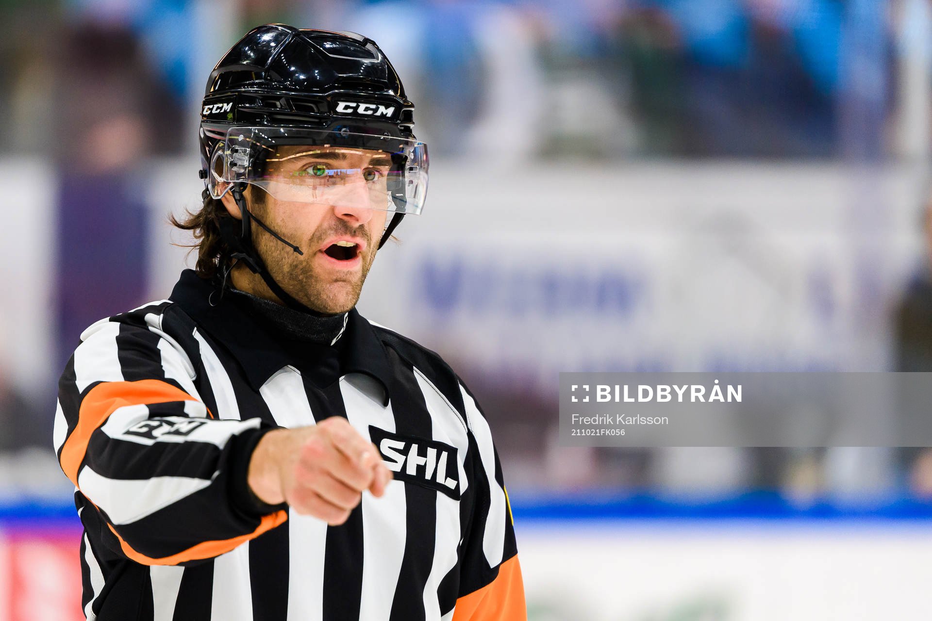 Domare Mikael Sjöqvist