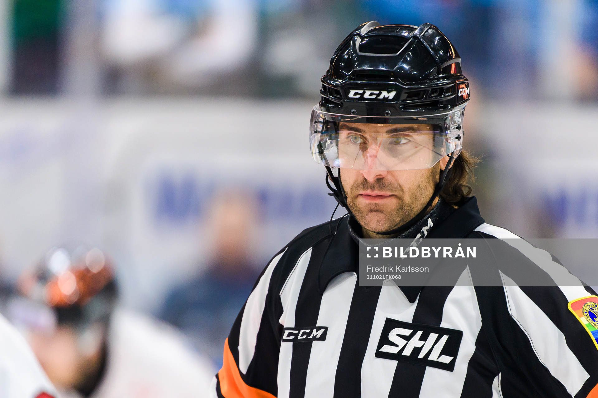 Domare Mikael Sjöqvist