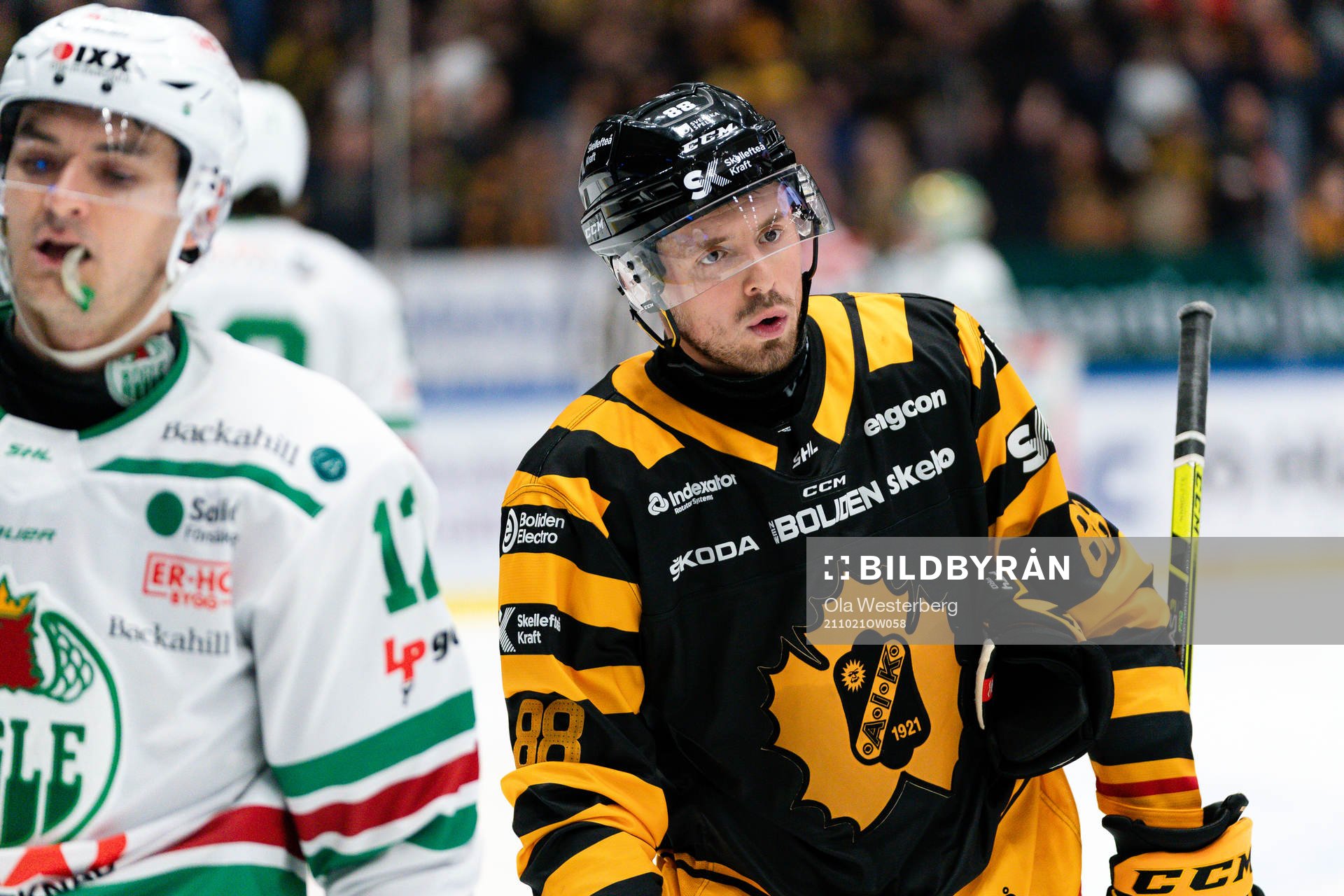 Skellefteås Jayce Hawryluk