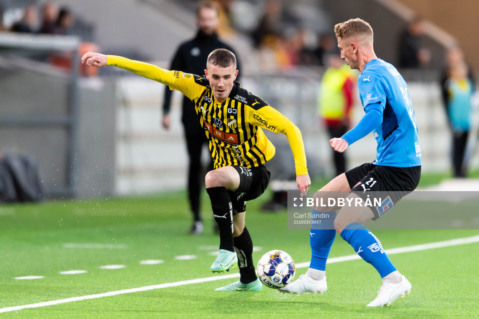 Häckens Patrik Wålemark