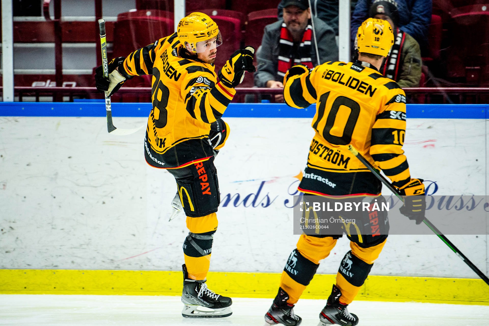Skellefteås Jayce Hawryluk jublar
