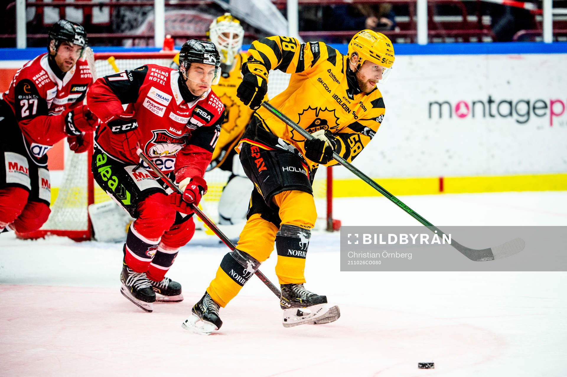 Skellefteås Oskar Nilsson mot Malmö Redhawks Pathrik