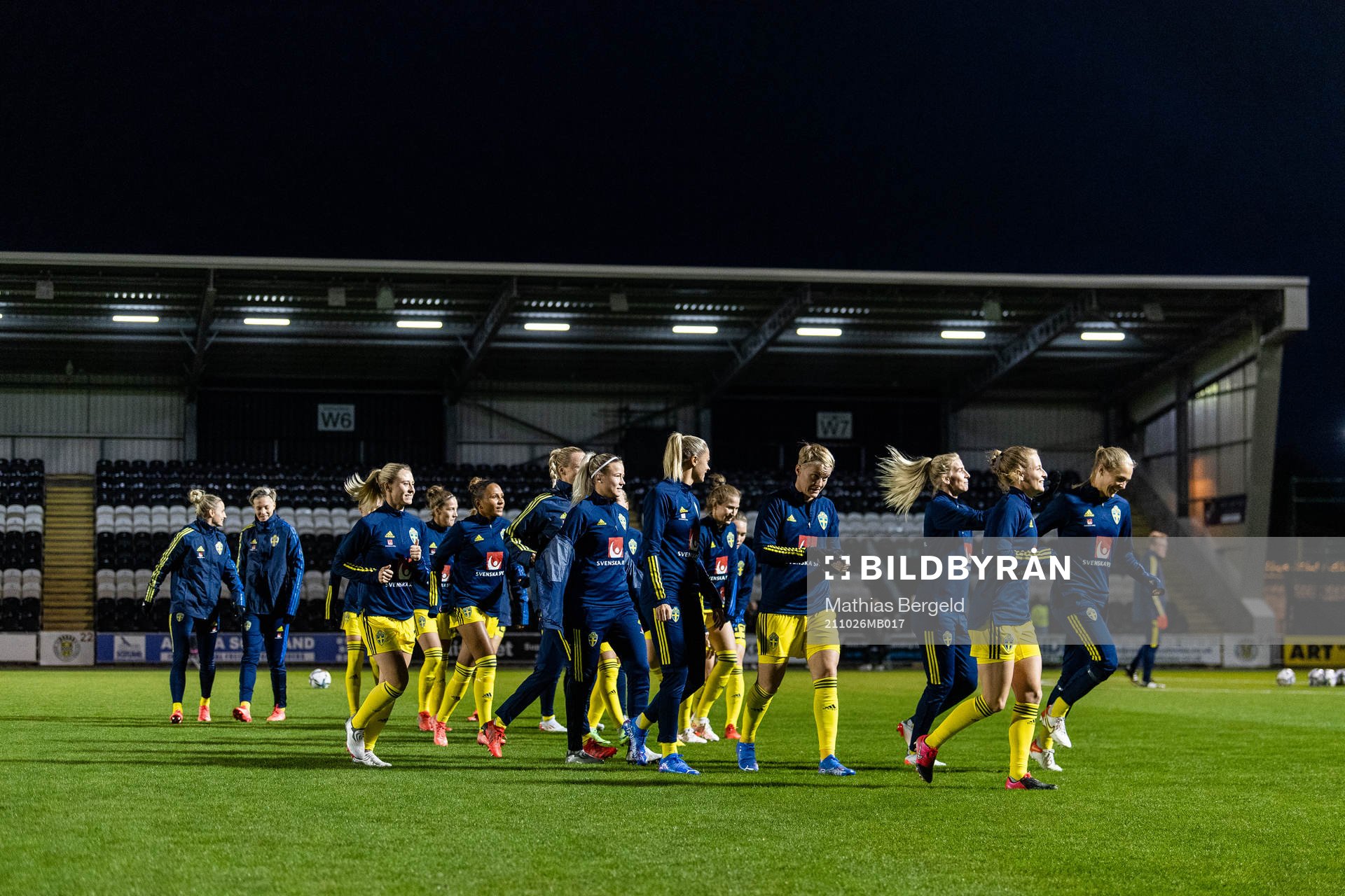 Players of Sweden