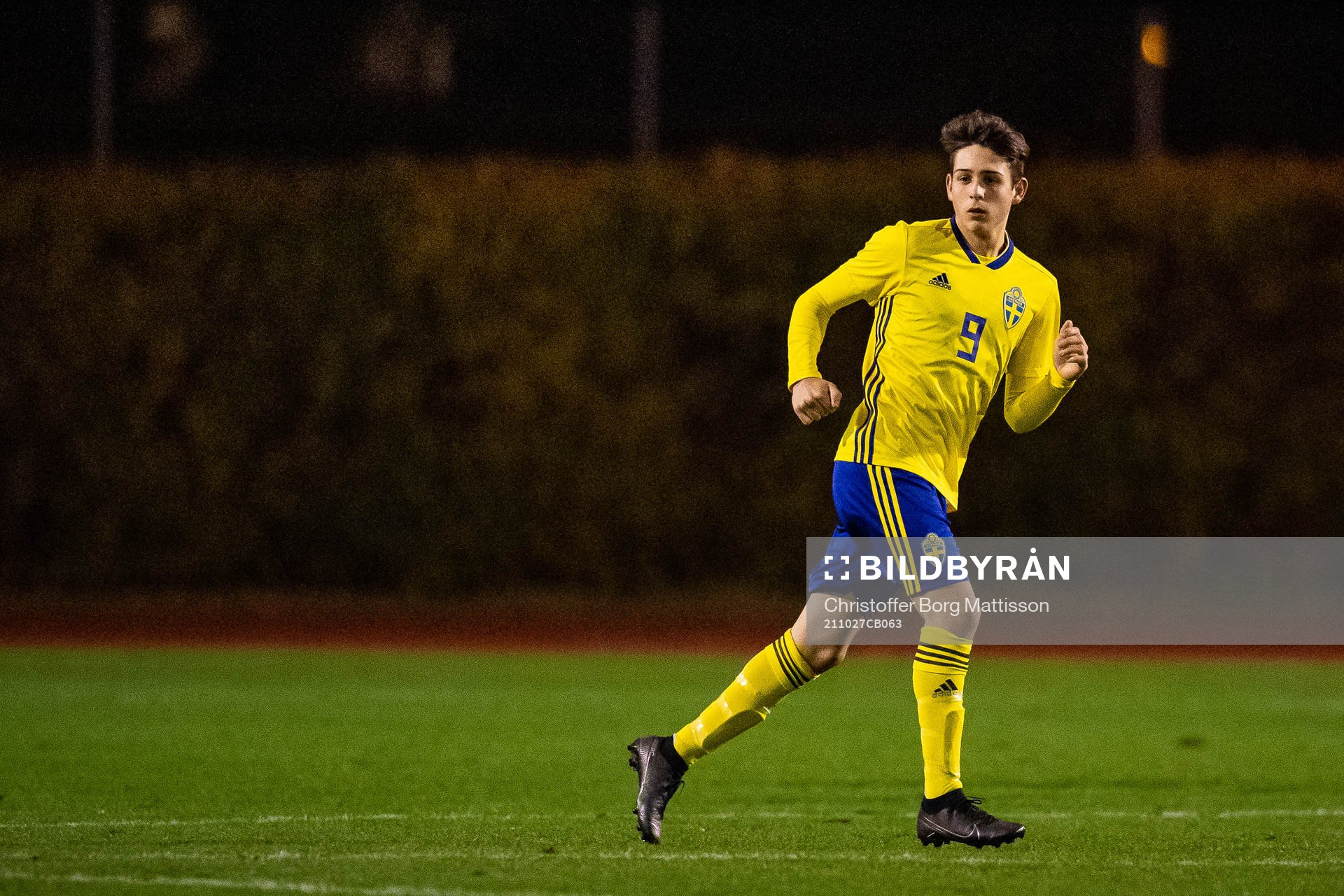 Sveriges Hannes Bladh Pijaca