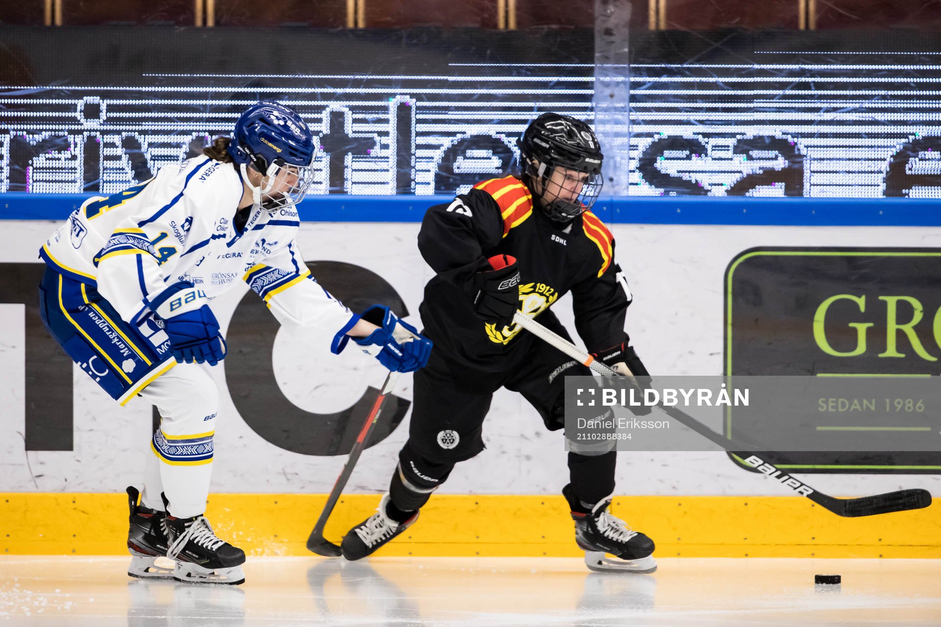 Leksands Payge Pena och  Brynäs Jaycee Gebhard
