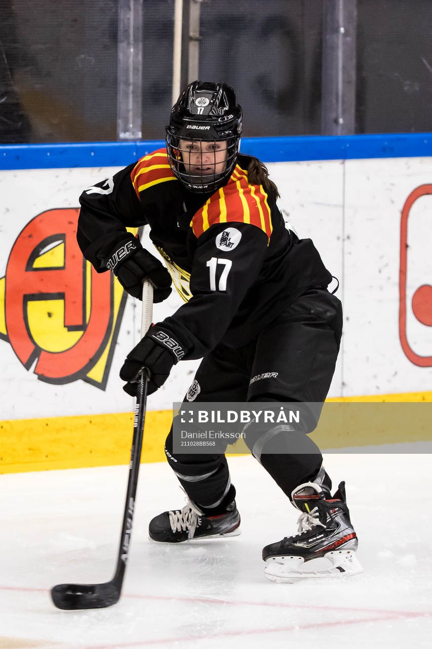 Brynäs Jaycee Gebhard