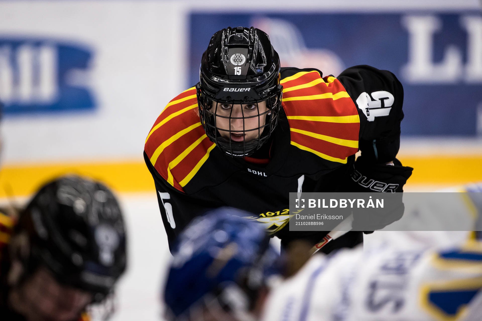 Brynäs Lara Stalder