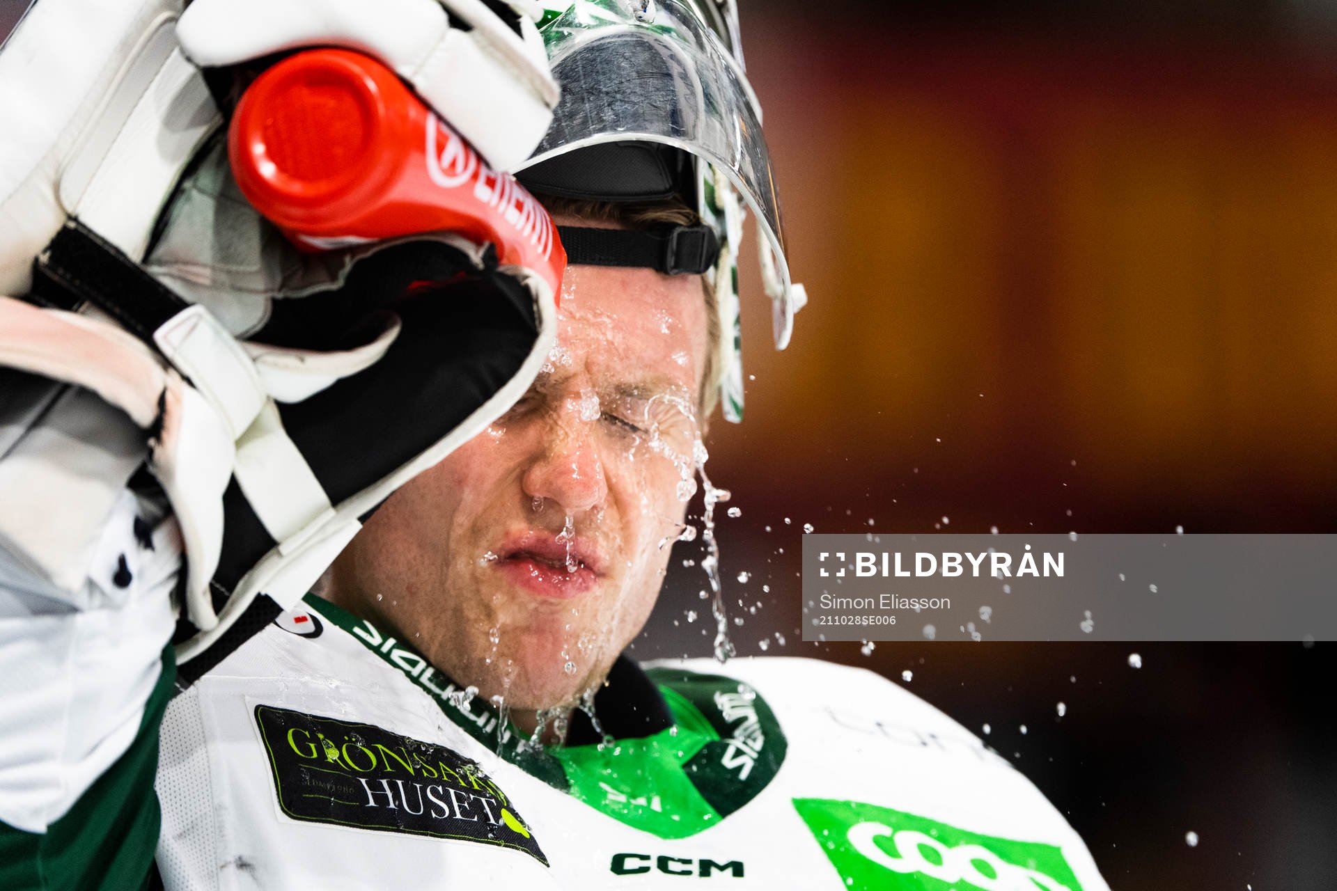 Färjestads målvakt Henrik Haukeland