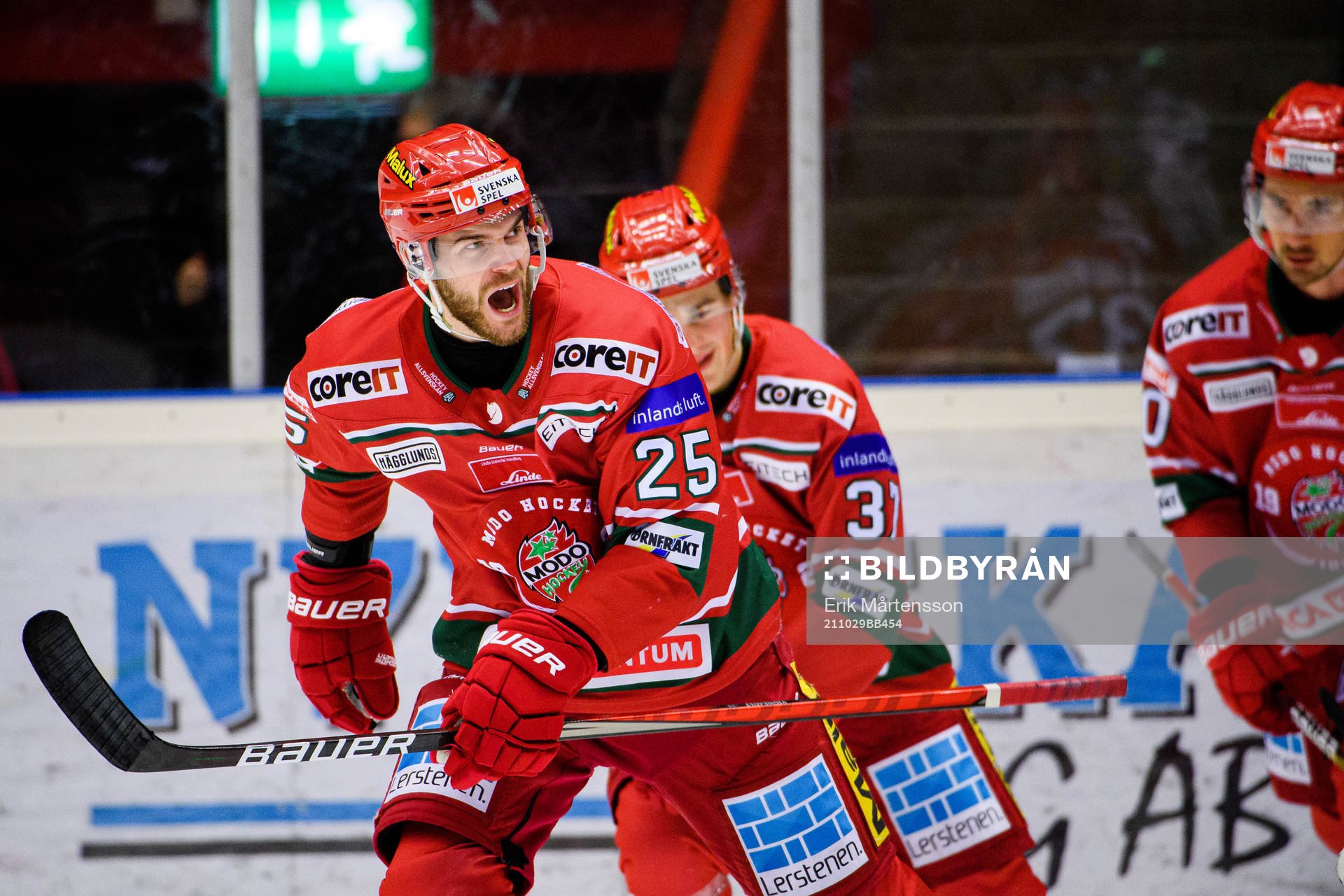 Modos Sam Vigneault jublar