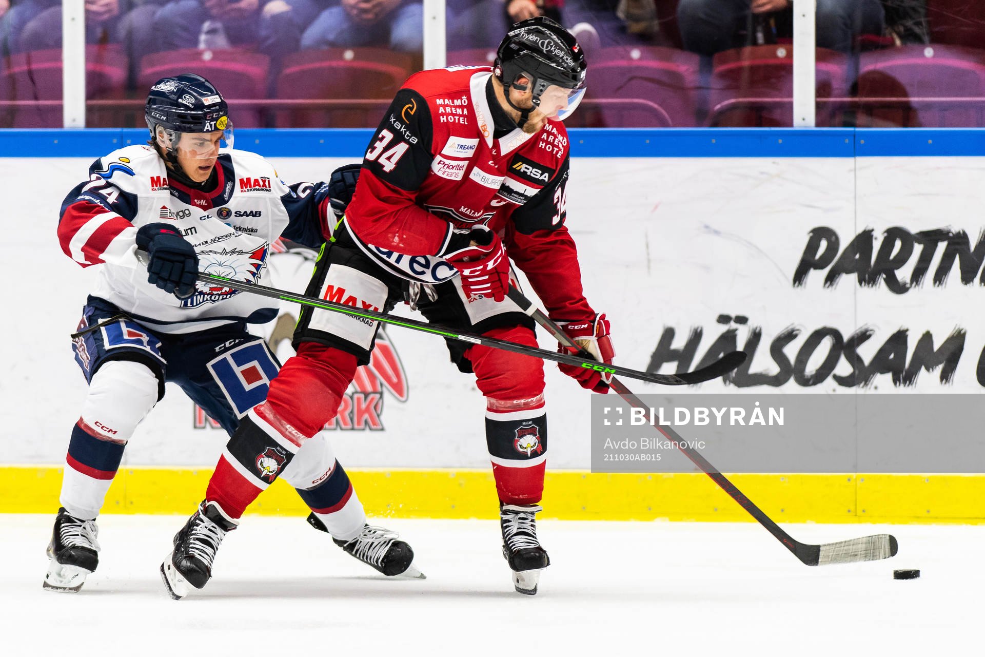 Linköpings Elliot Ekmark och Malmö Redhawks Carl