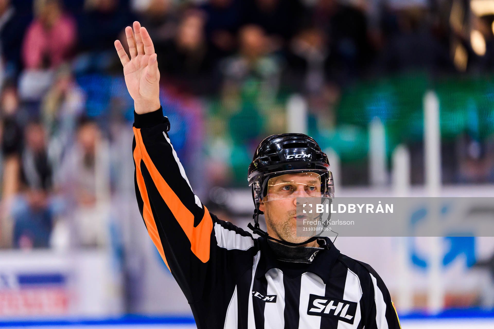 Domare Mikael Nord