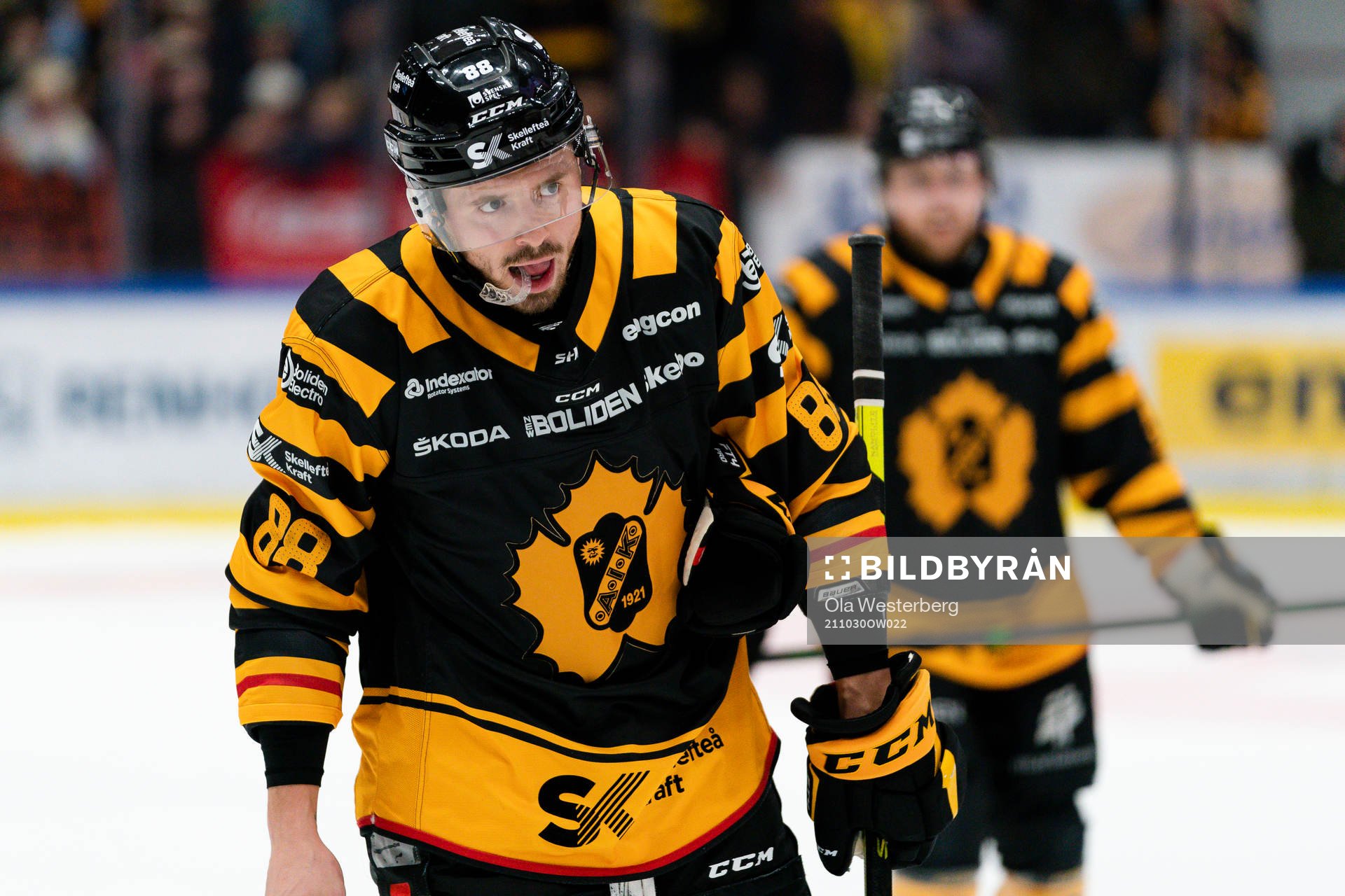 Skellefteås Jayce Hawryluk