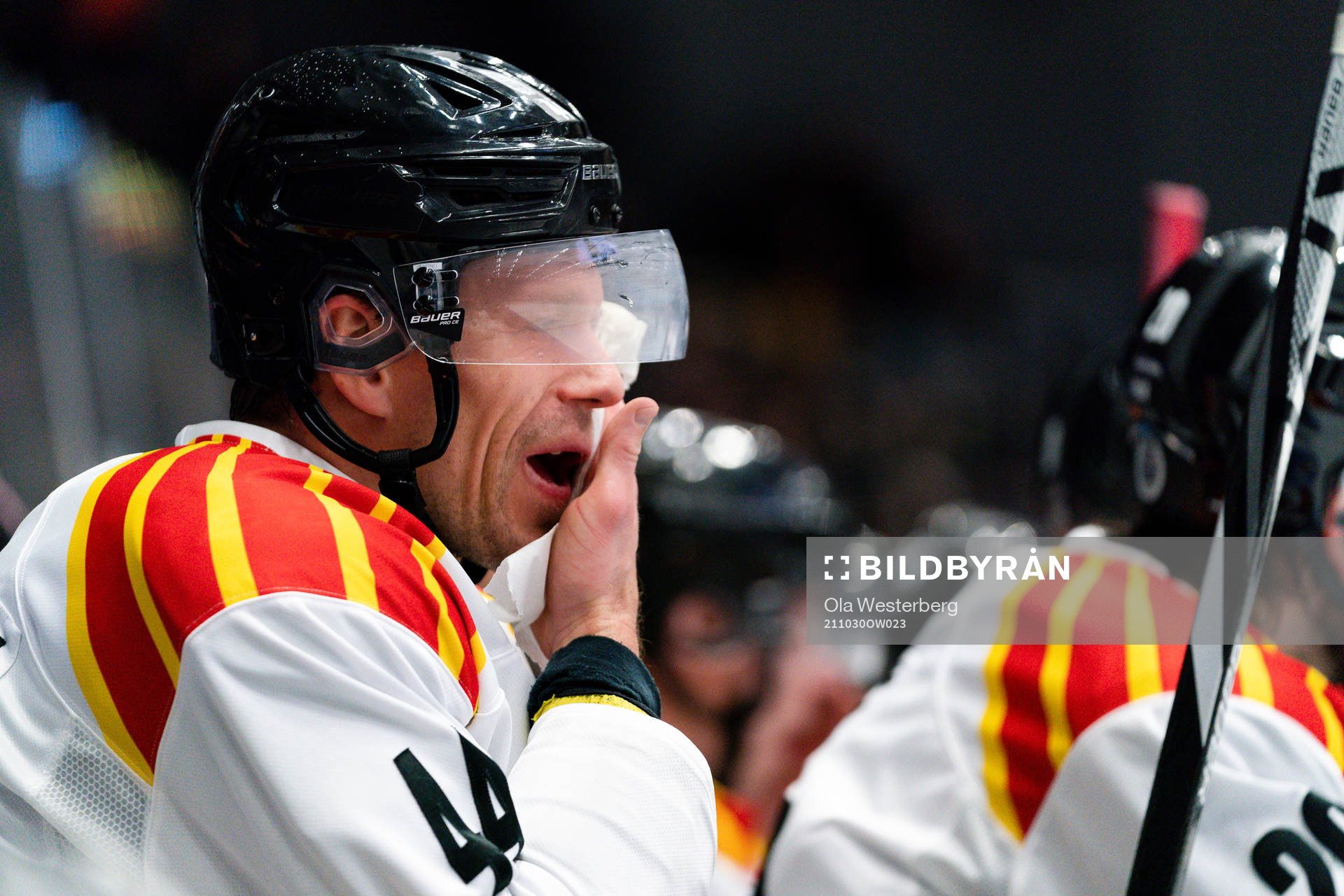 Brynäs Nicklas Danielsson