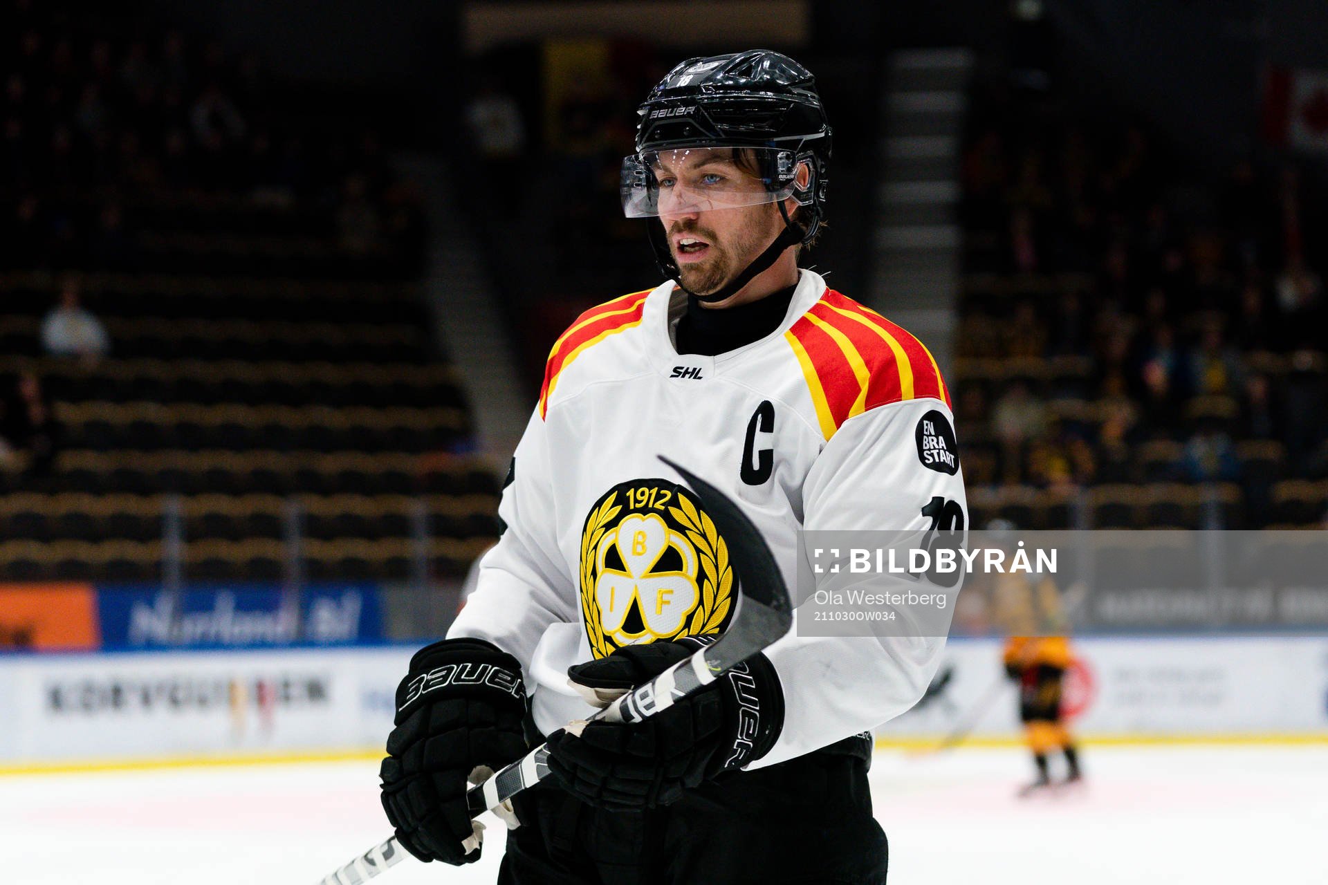 Brynäs Anton Rödin